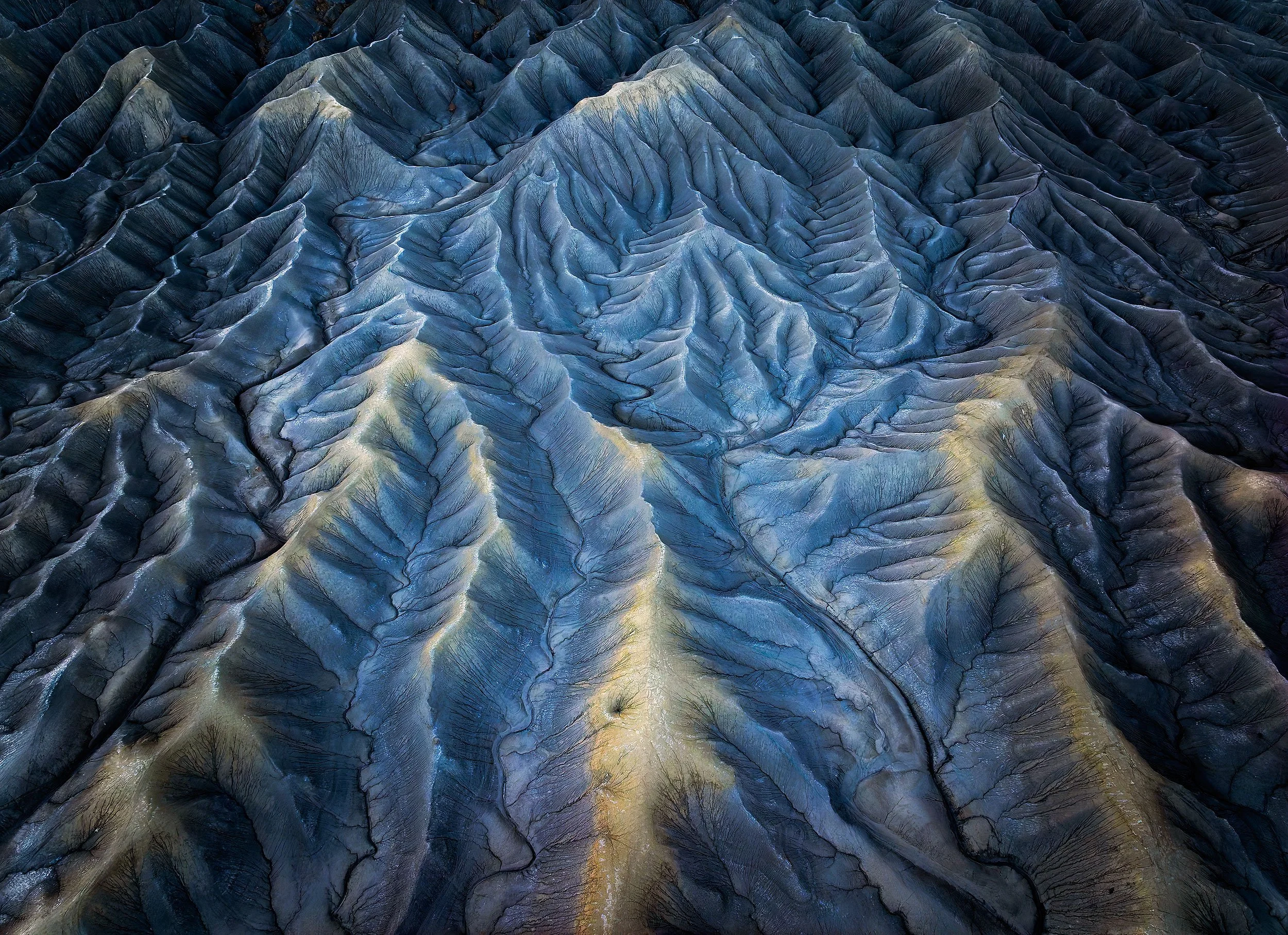 Desert Veins