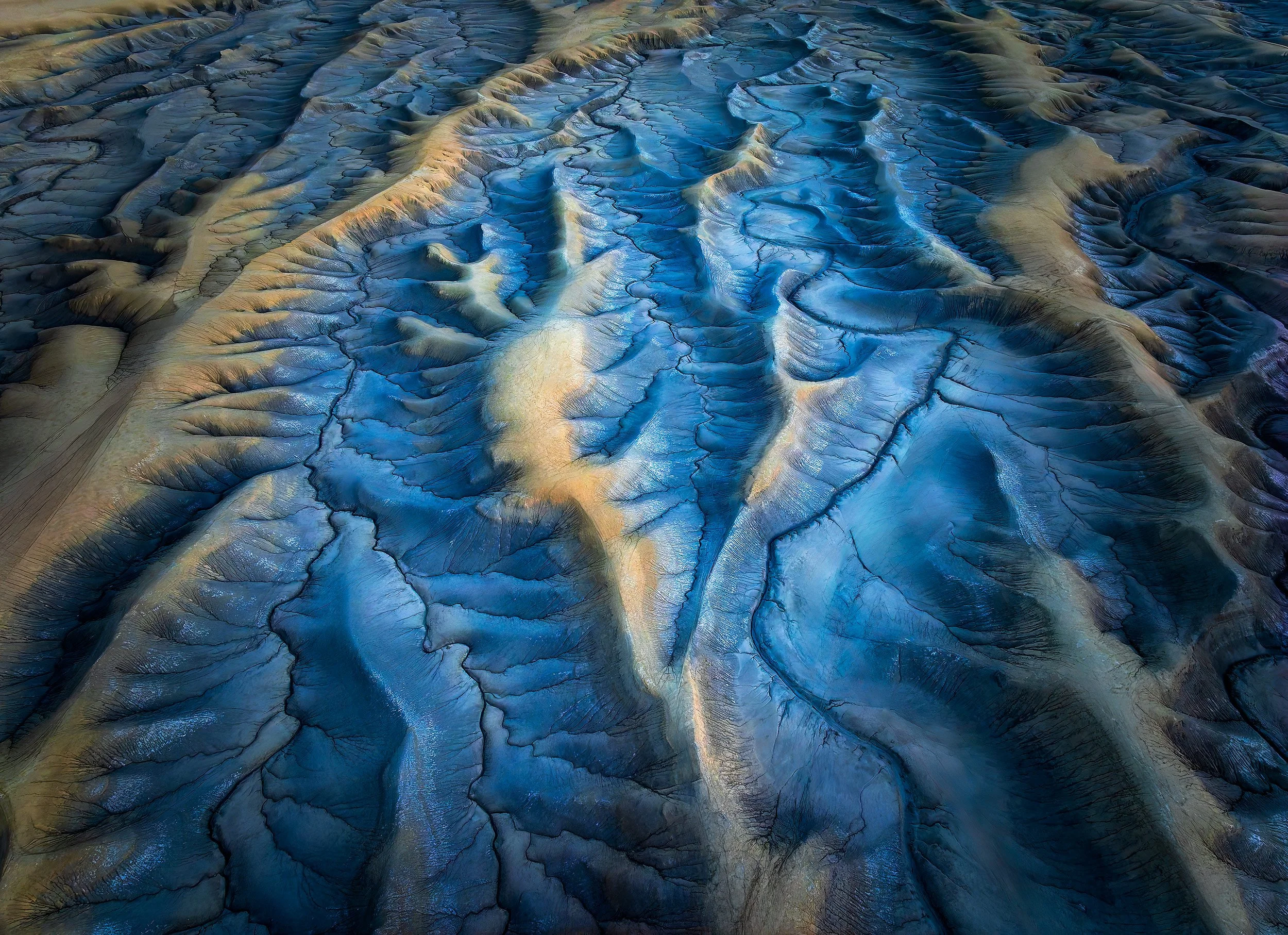 Tentacles of Despair