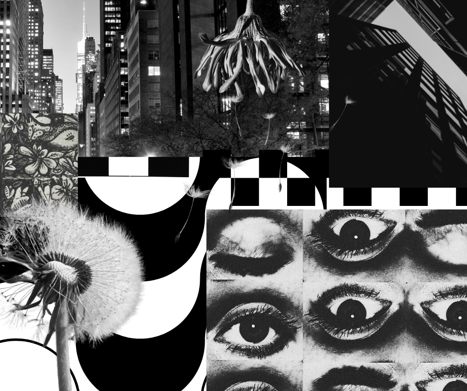 Black and White Mood Board.png