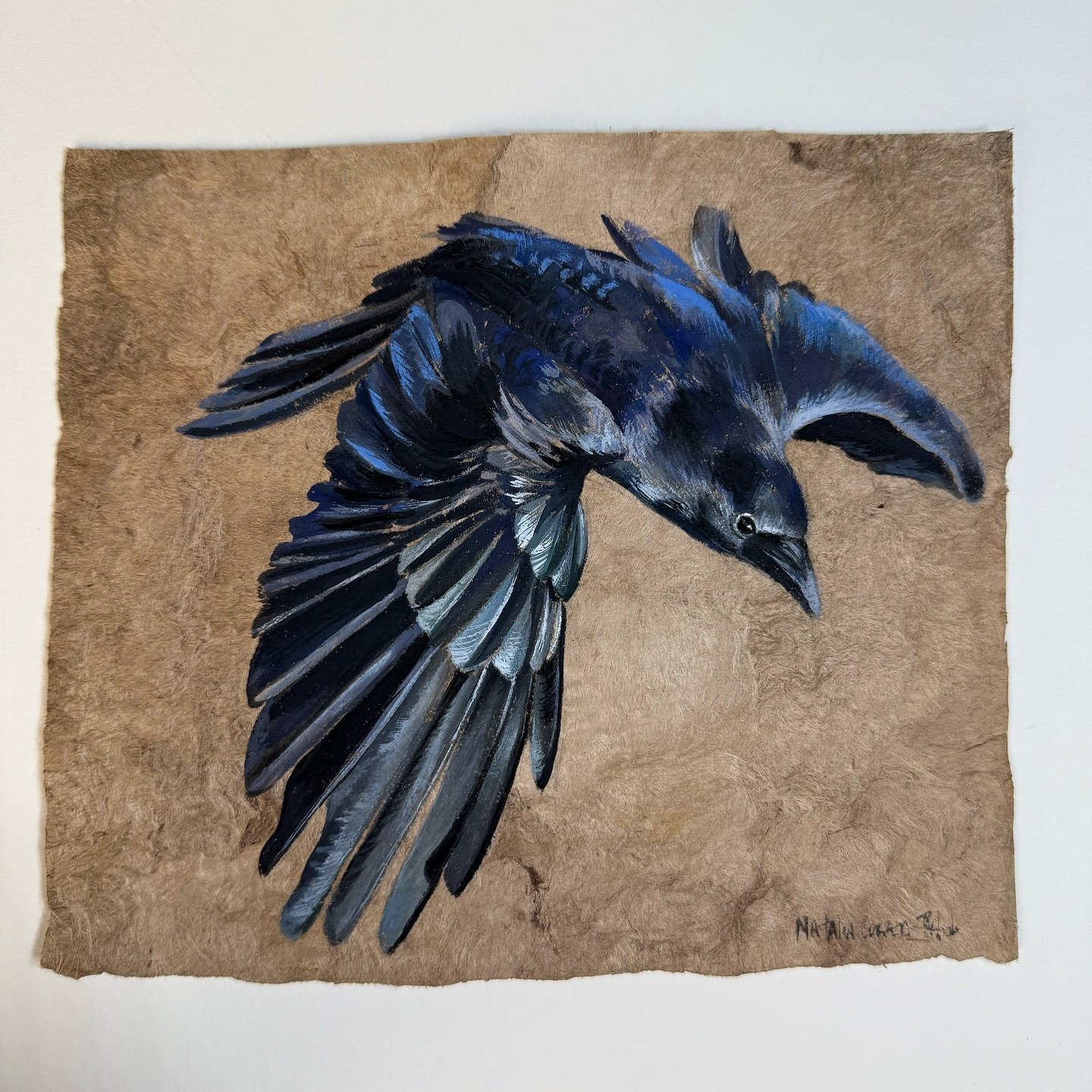 Trying new papers for little gouache paintings. I think I like it 

#crow #gouache #gouachepainting #birdart #arte