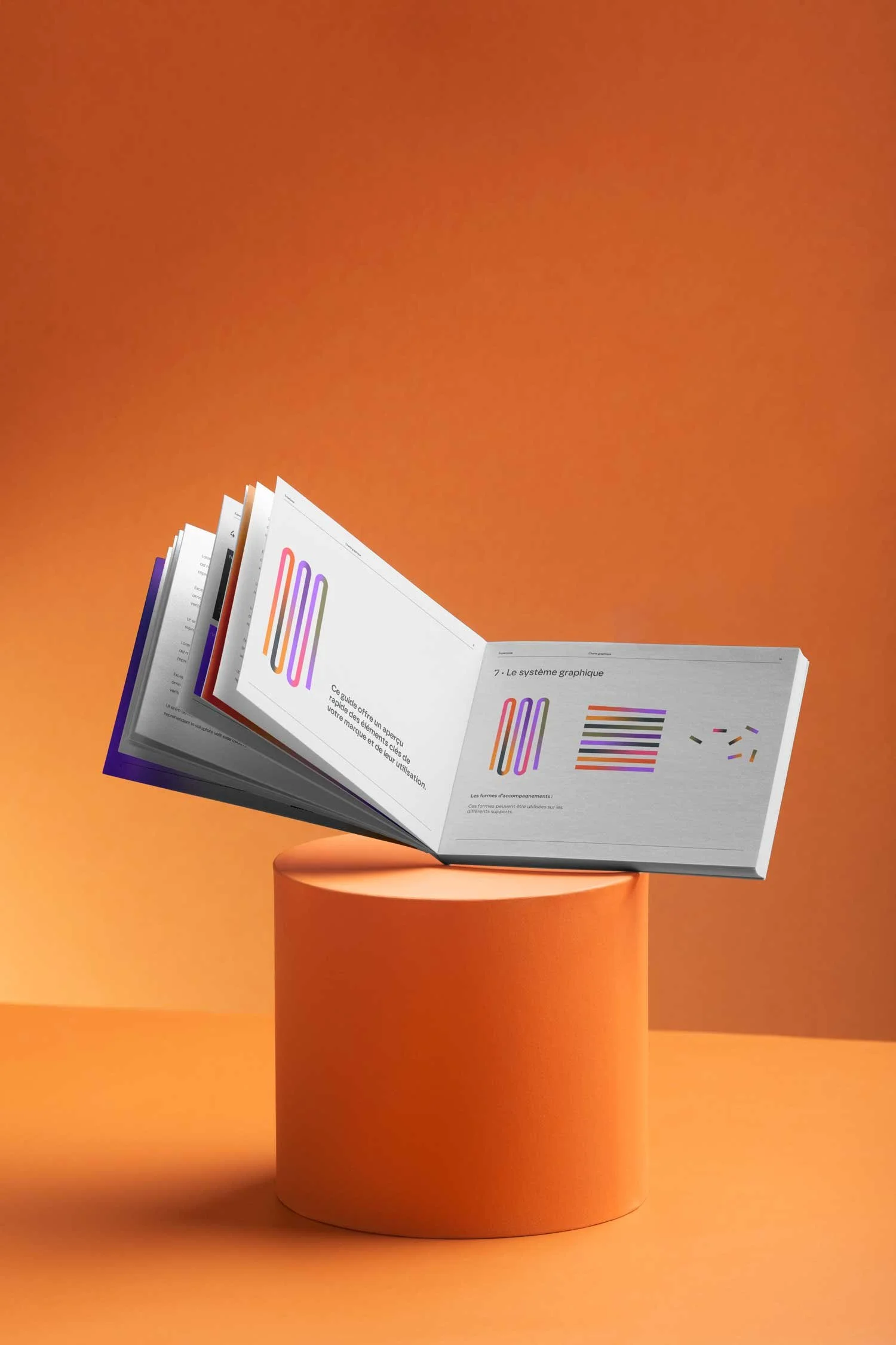 livre ouvert de charte graphique