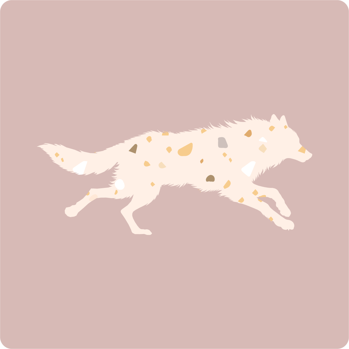 Wolf_Terrazzo_02.png