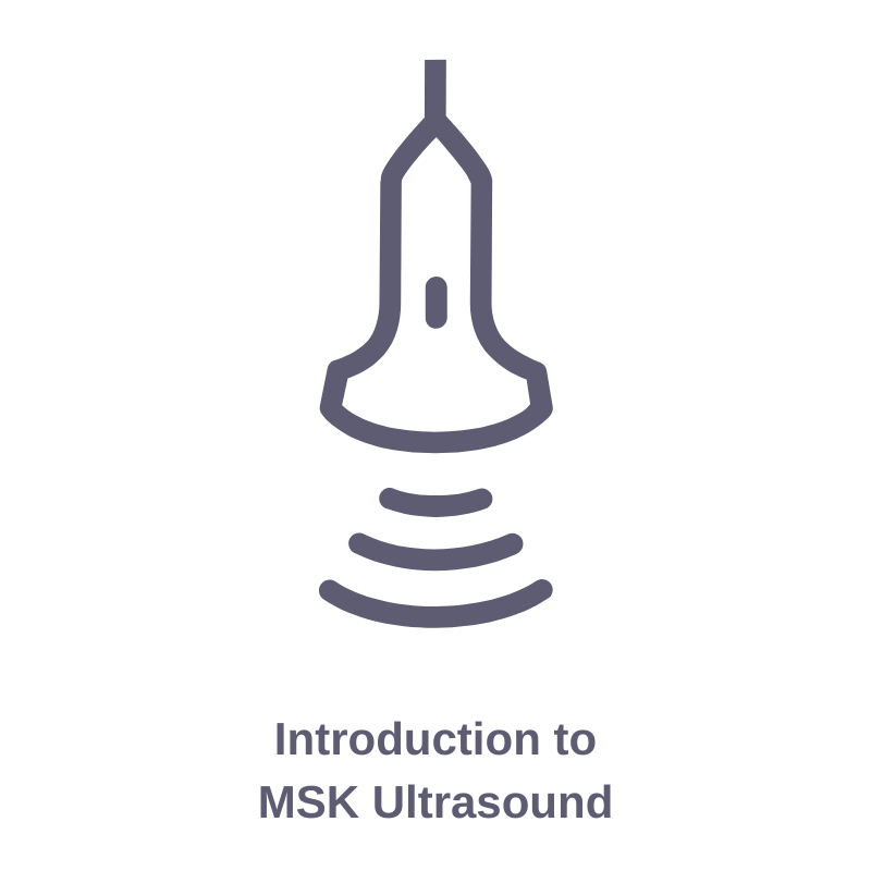 Icon of ultrasound probe with sound waves and text 'Introduction to MSK Ultrasound'.