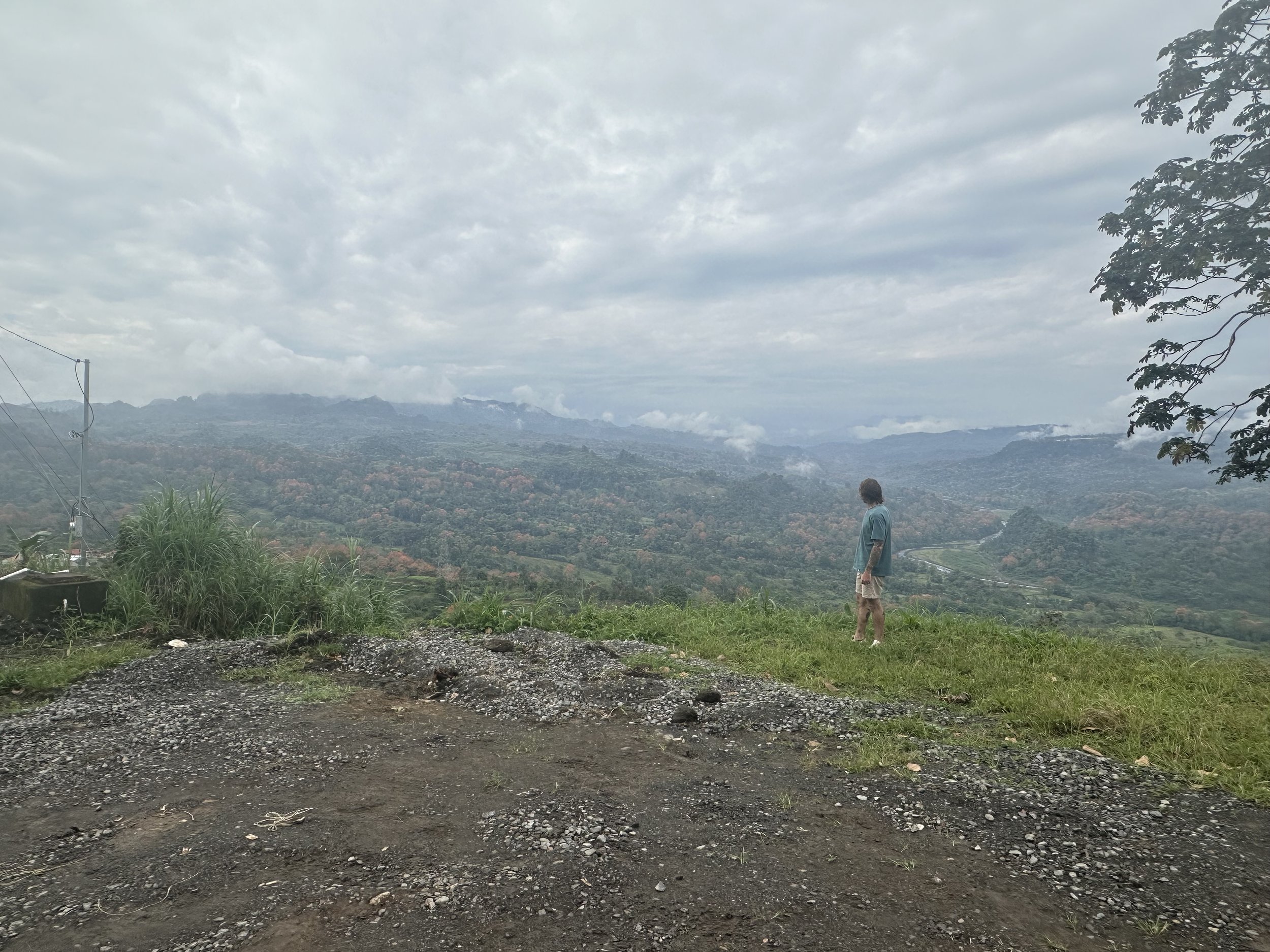 IMG_1559.jpeg