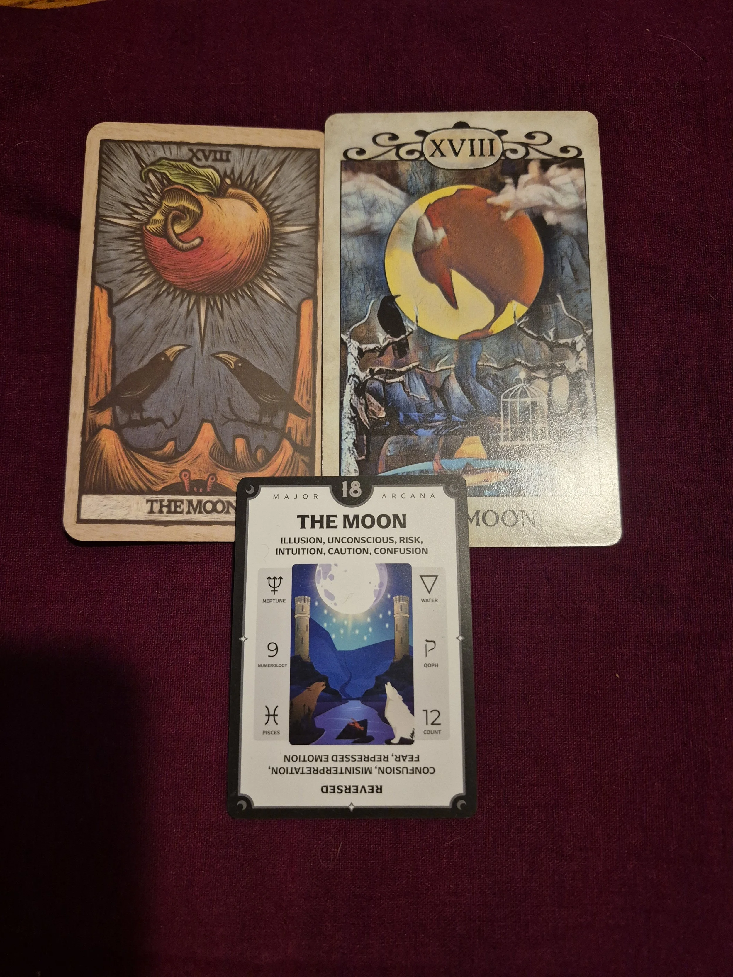 Lost in the Fog: The Moon and Our Collective Illusions