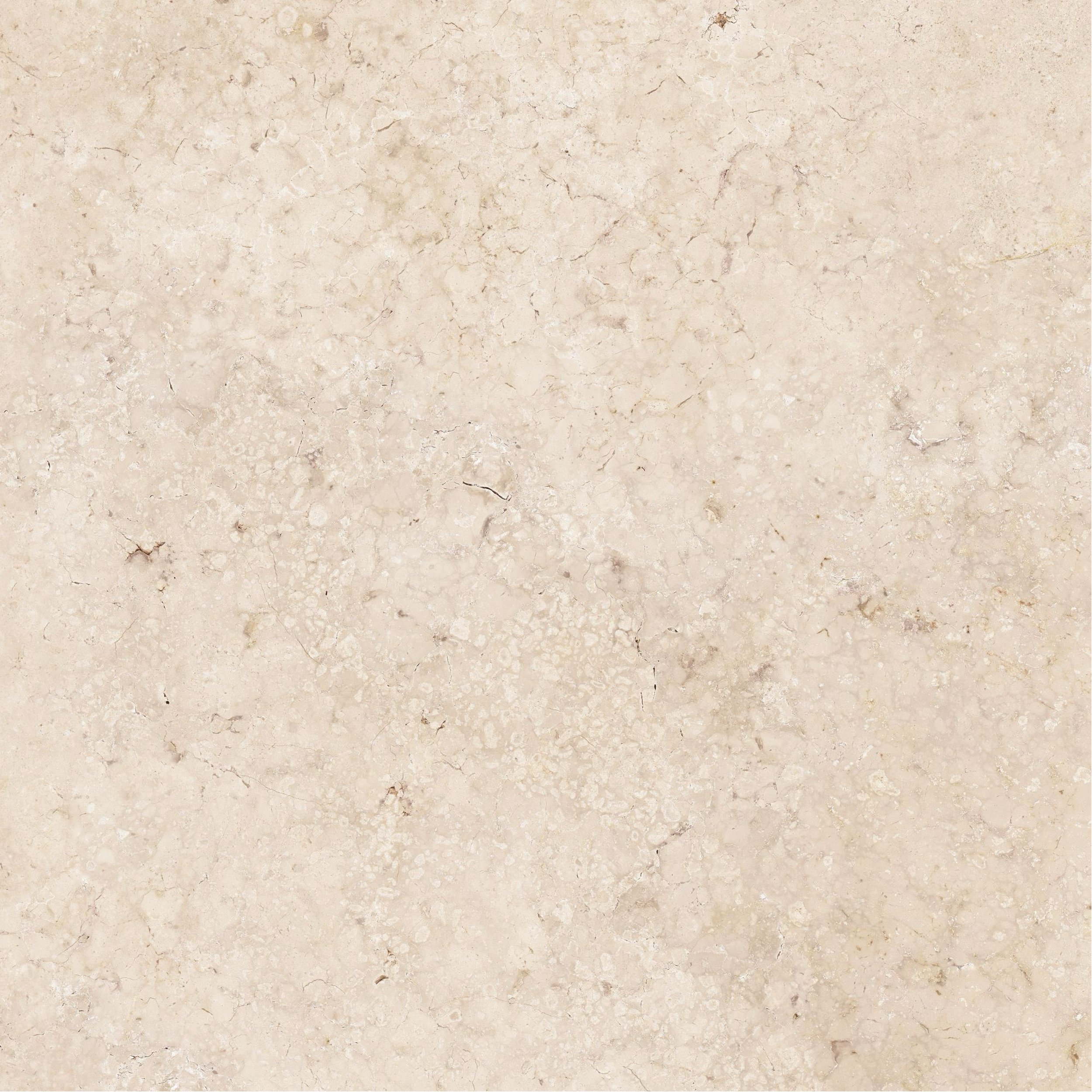 cream LS colour.jpg