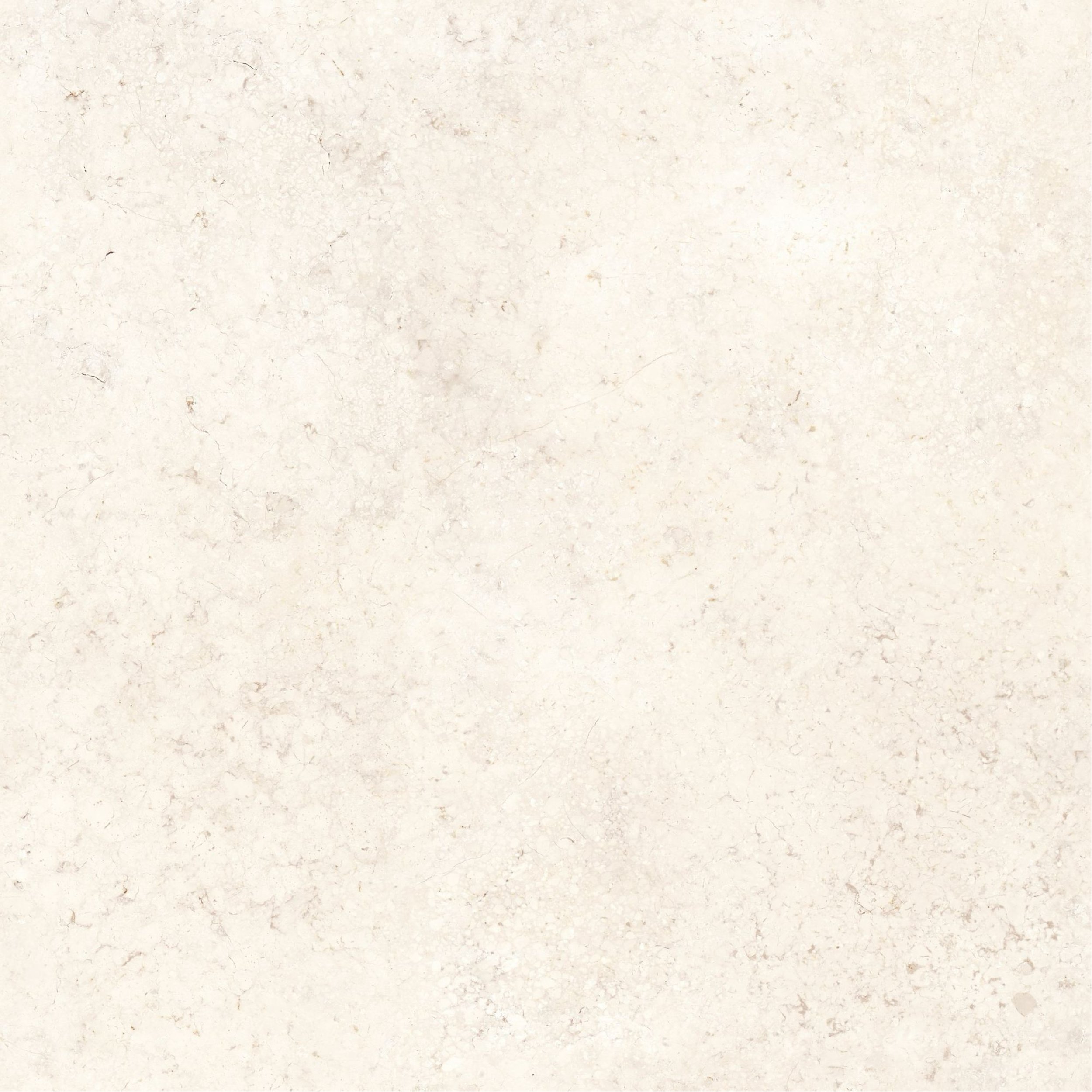 milk LS colour.jpg