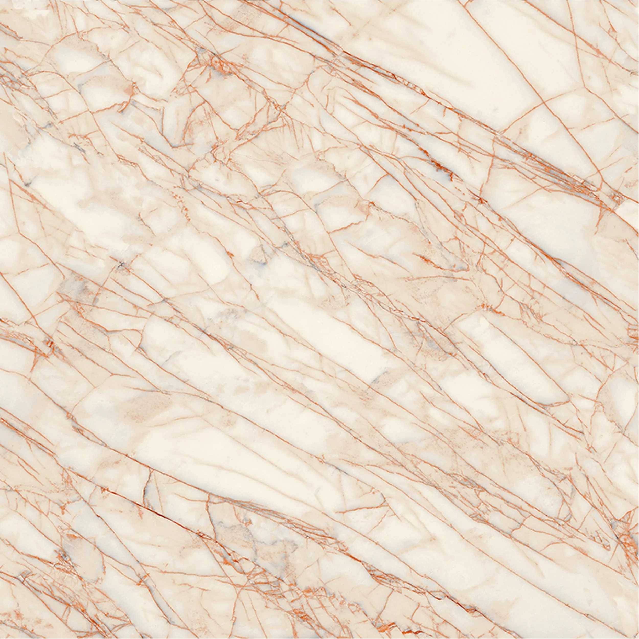 golden spider IF 12mm colour square 1.jpg