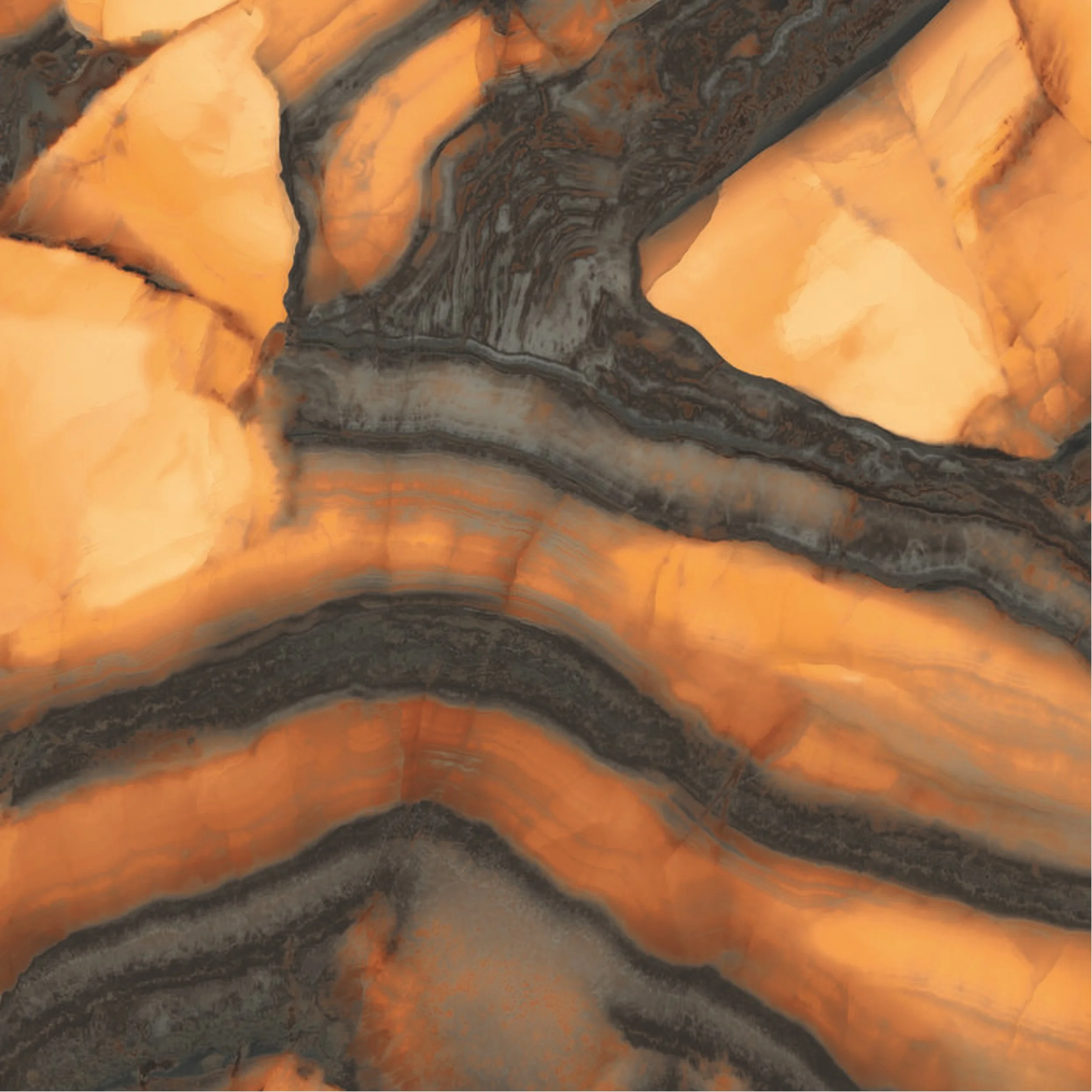 tiger IF colour 1.jpg