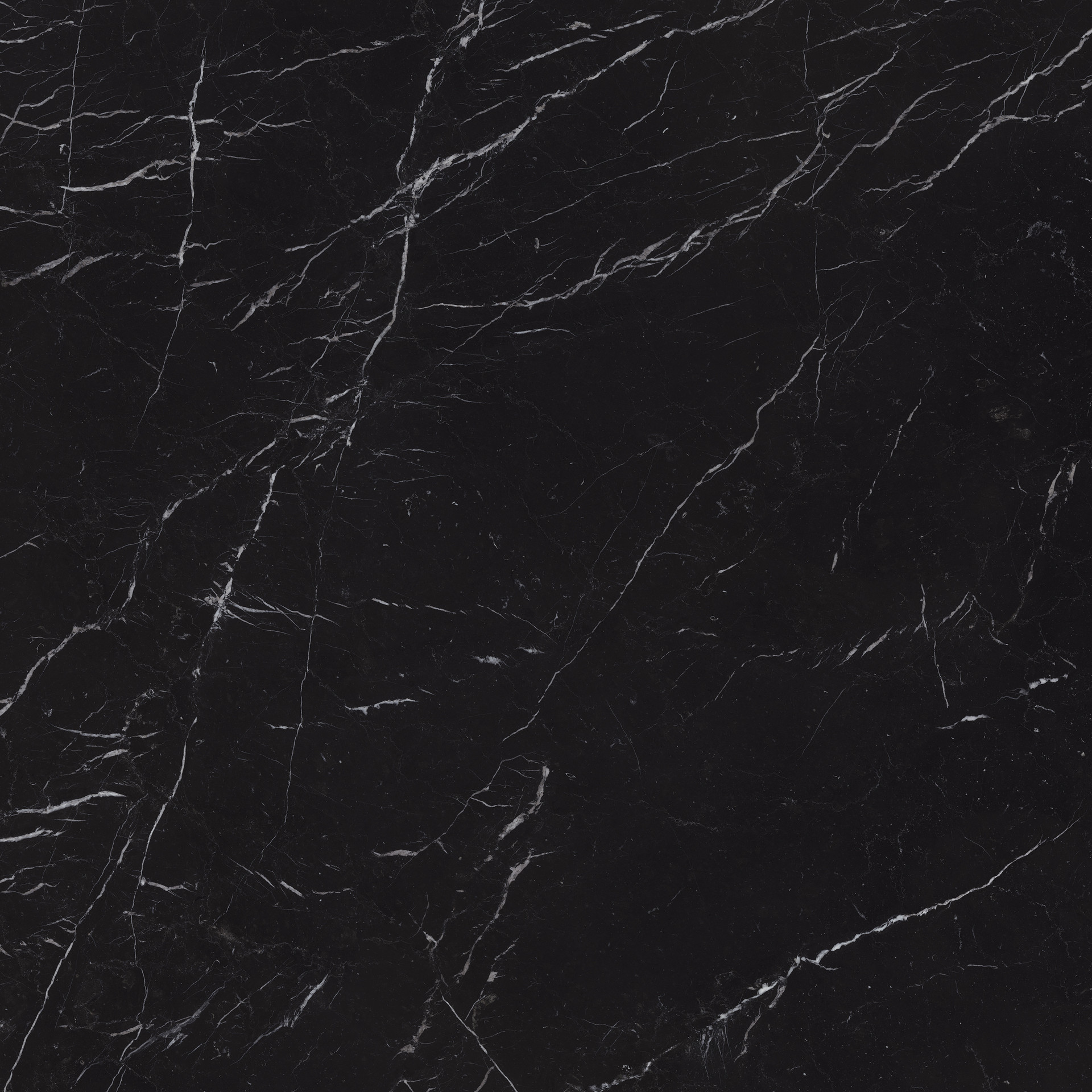 nero marquinia JW colour 1.png