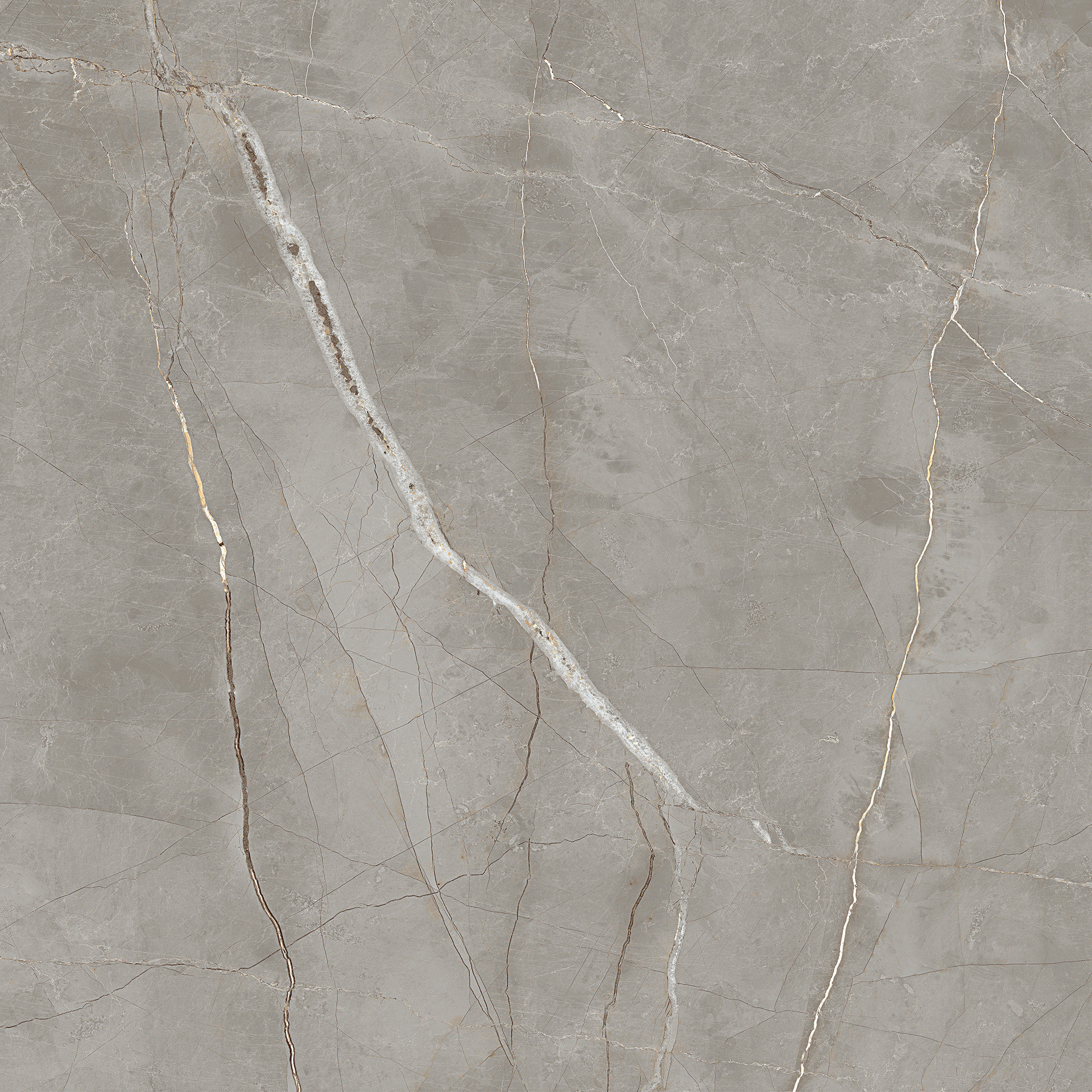 raymi JW colour 1.png