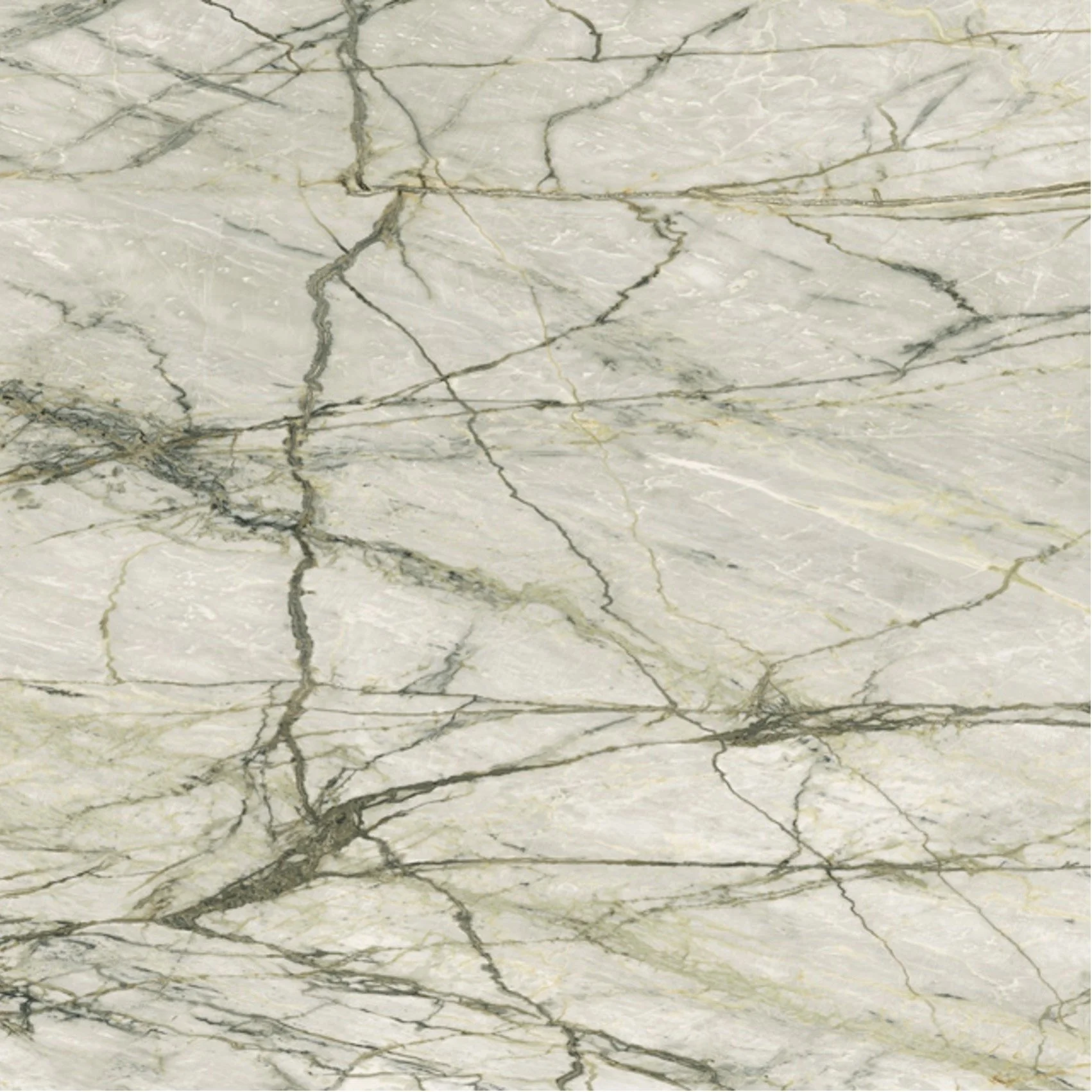 calacatta green IF colour square 1.jpg