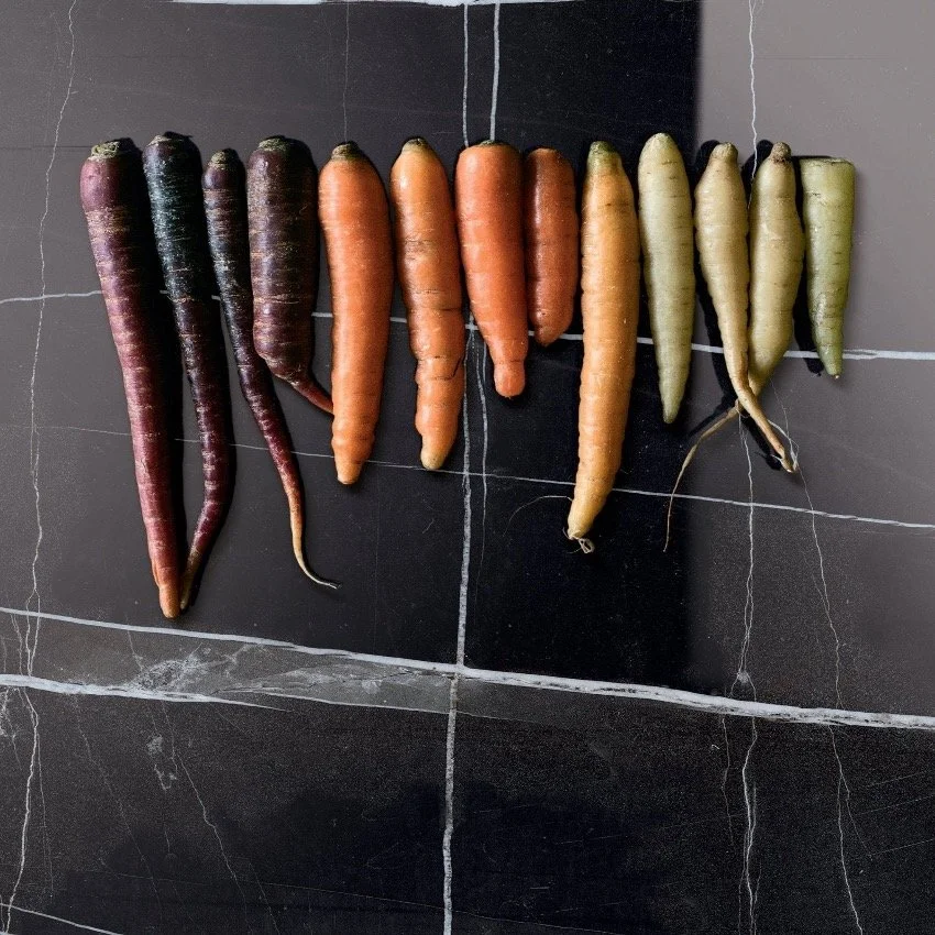 sahara noir IF 2.jpg