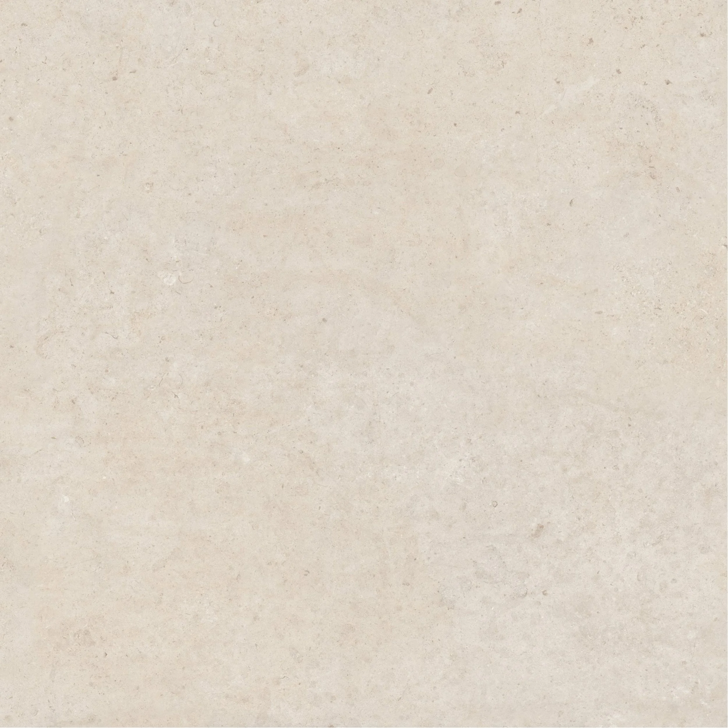 sand LS colour.jpg