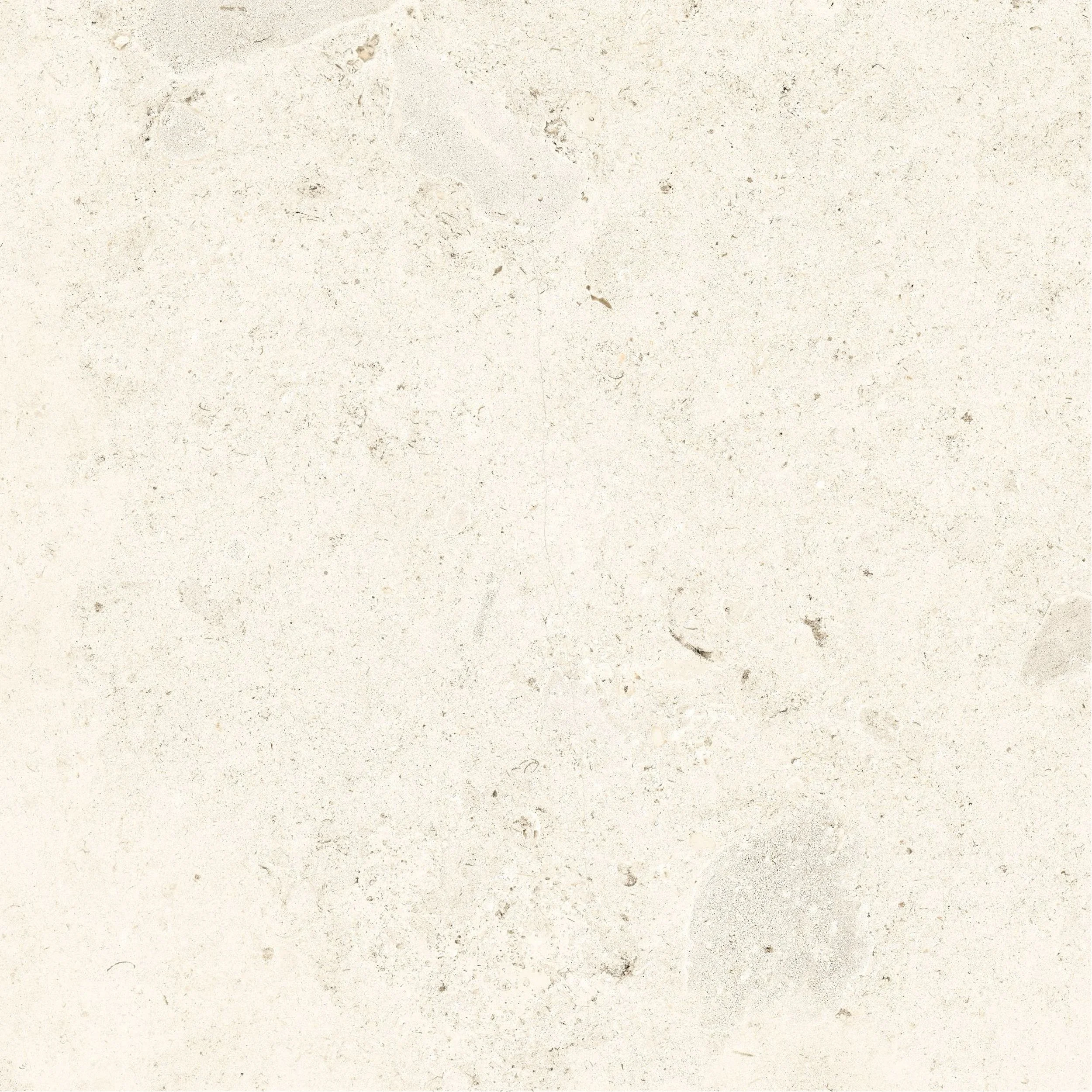 shell LS colour.jpg
