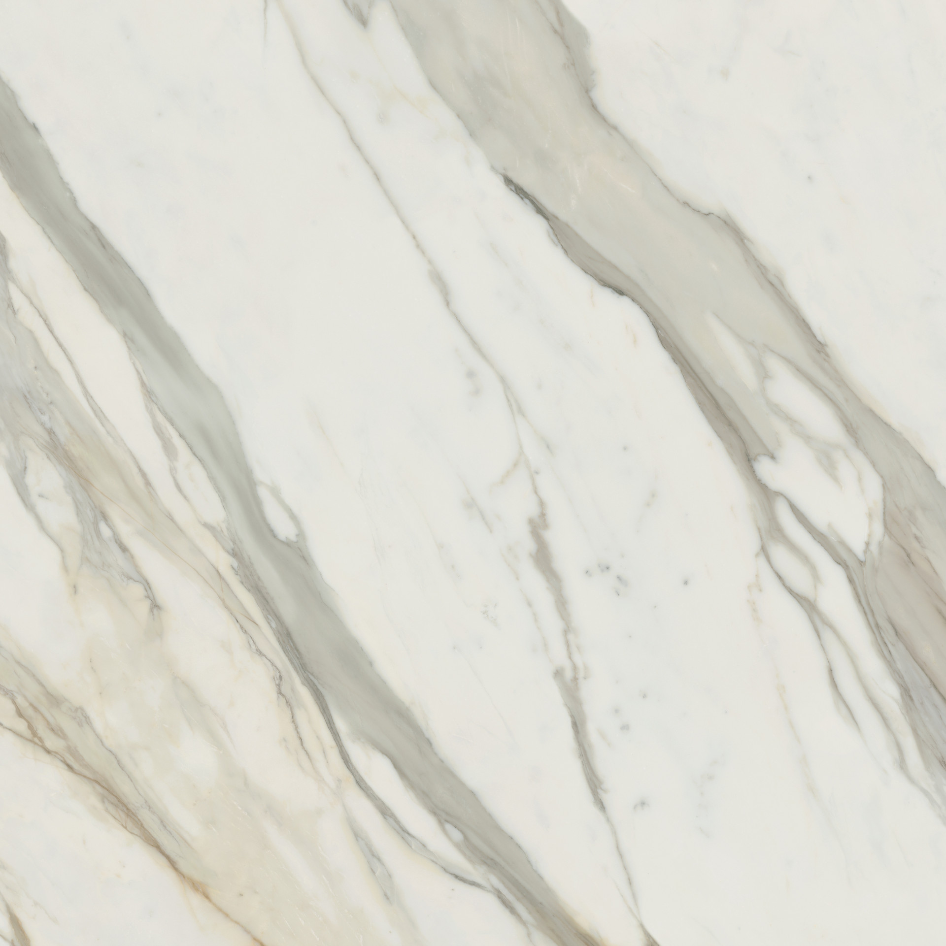 calacatta gold JW colour 1.png