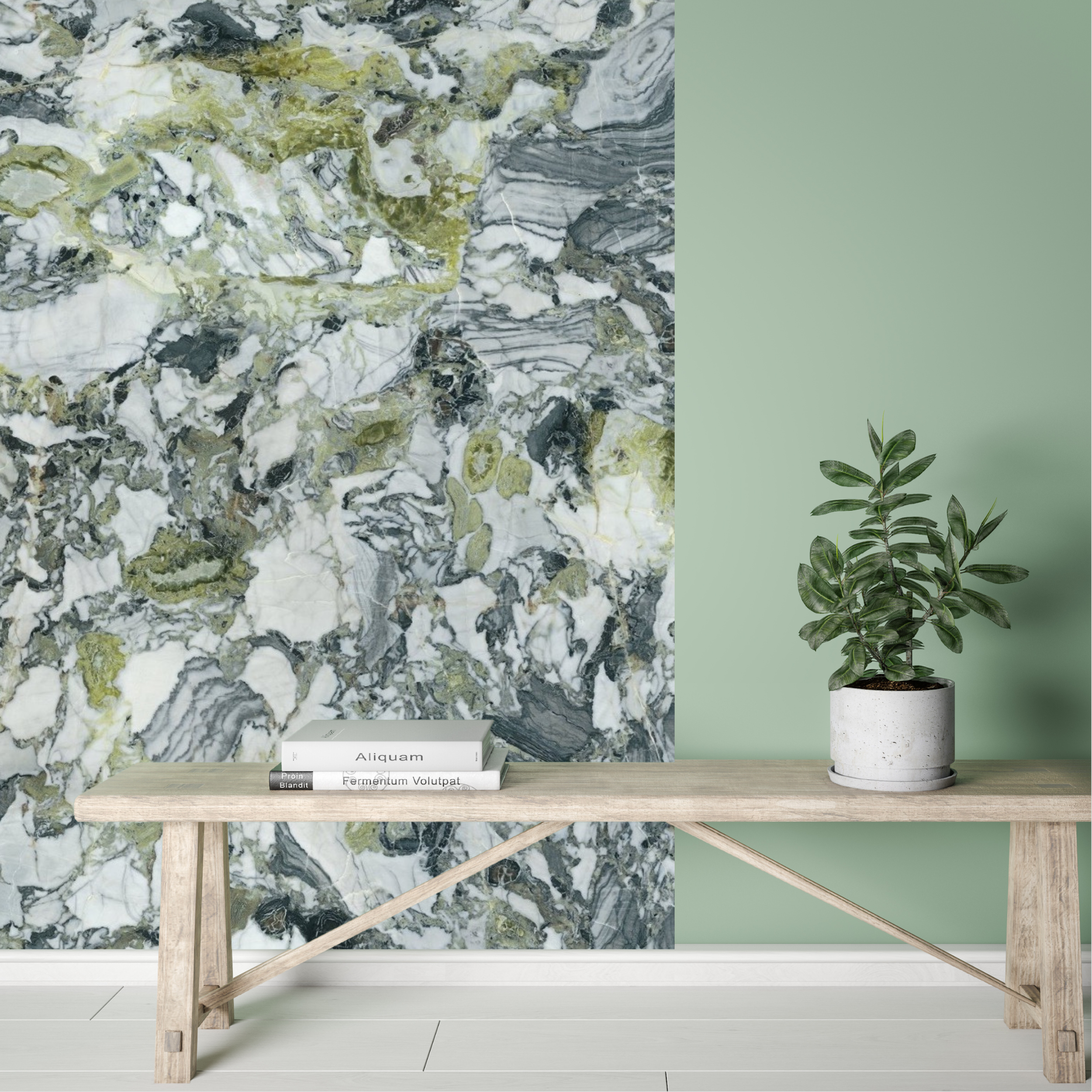 white beauty IF 2.png