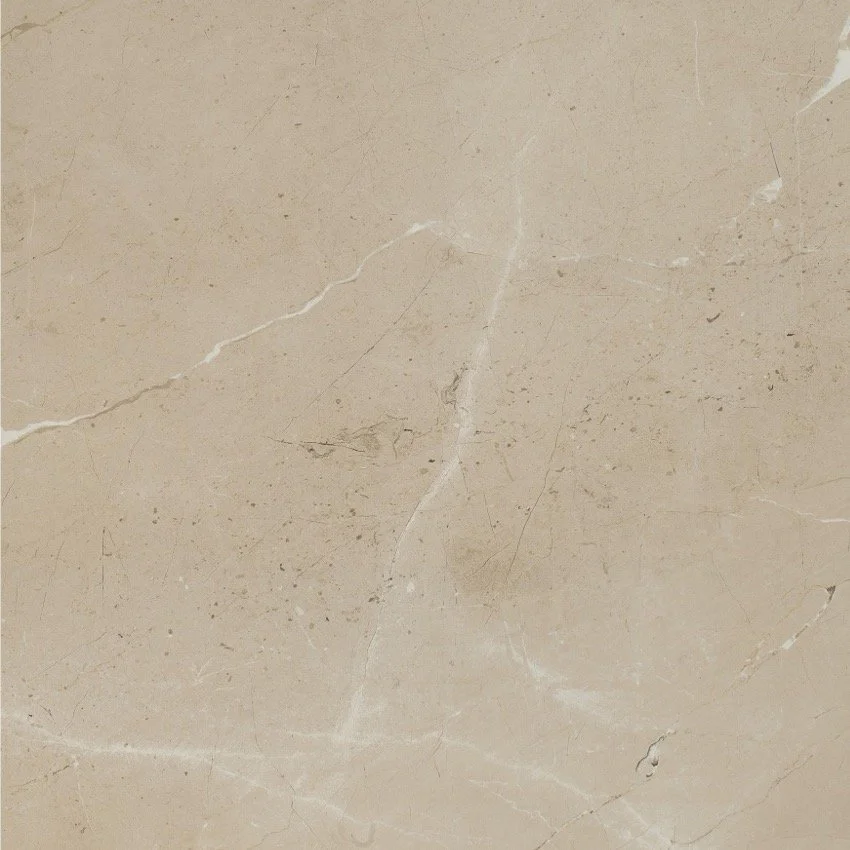 arcadia PR colour 5.jpg