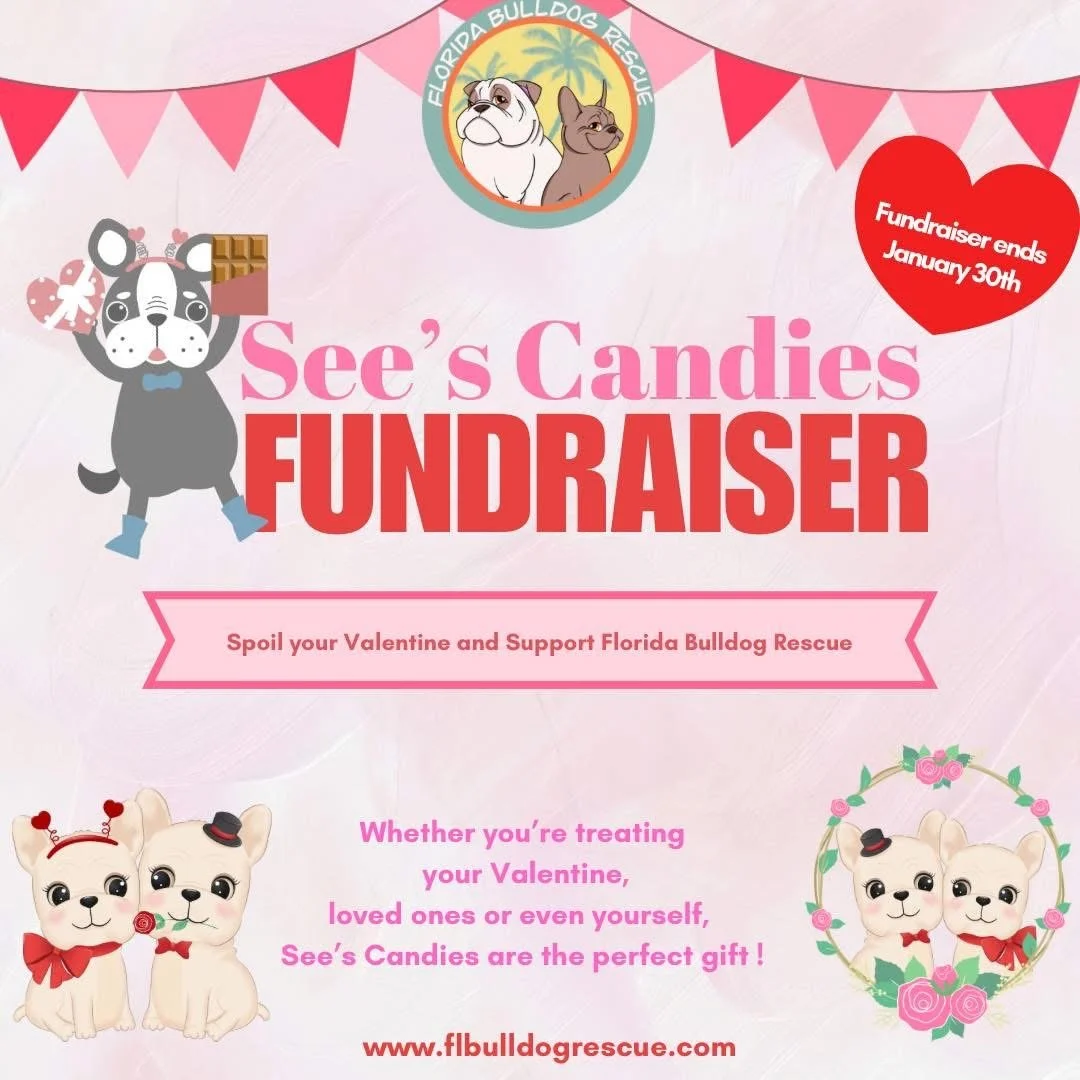 See's Candies Fundrasier