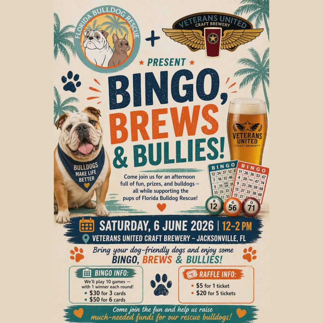Bingo, Brews & Bullies!