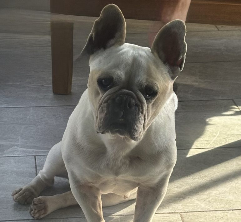 Screenshot 2026-03-01 at 3.55.31 PM.png