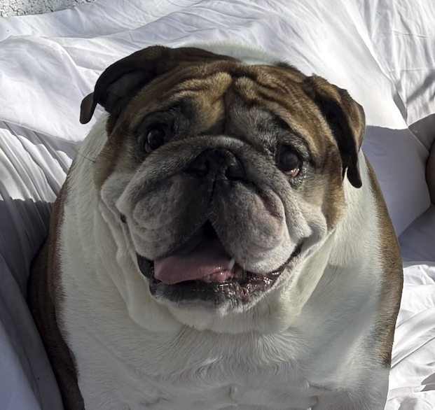 Screenshot 2026-02-14 at 4.14.54 PM.png