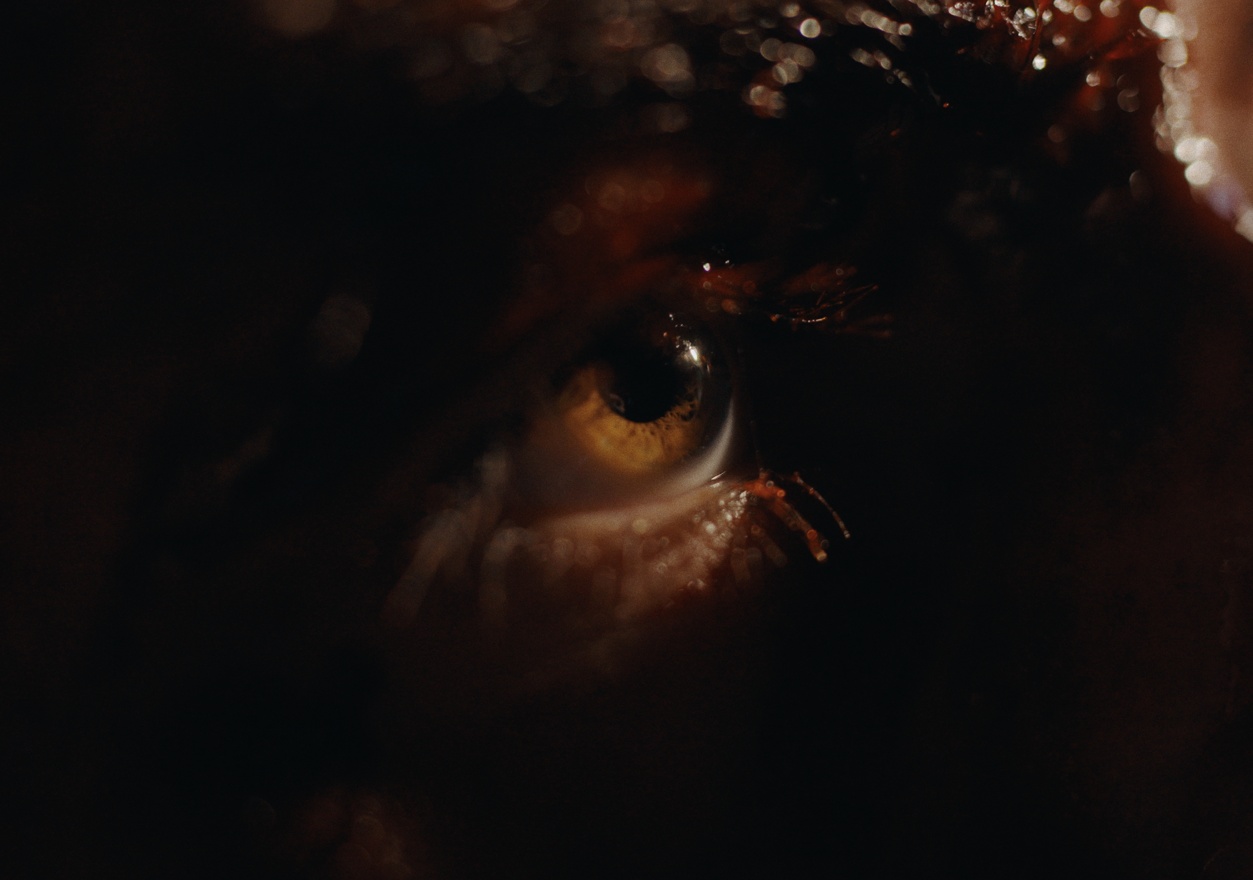 Screenshot 2026-01-10 at 12.33.08 PM.png