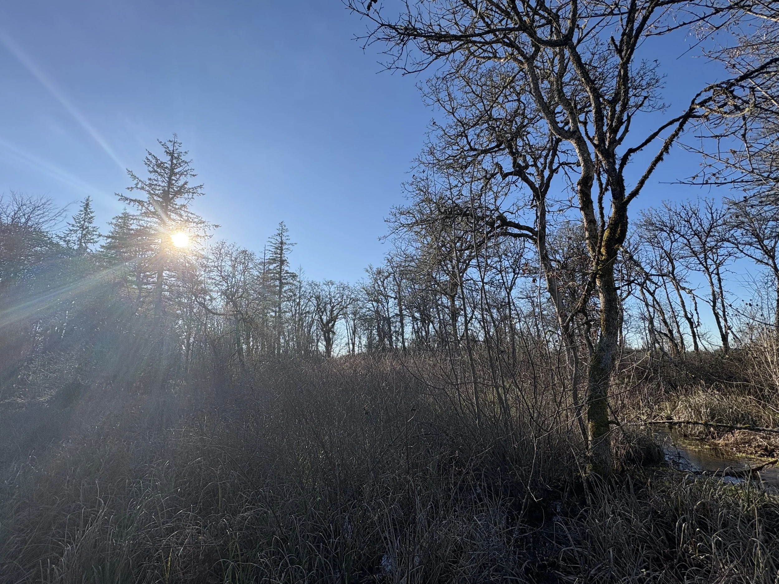 Winter Walk at Ancient Prairie, February 28th, 10am