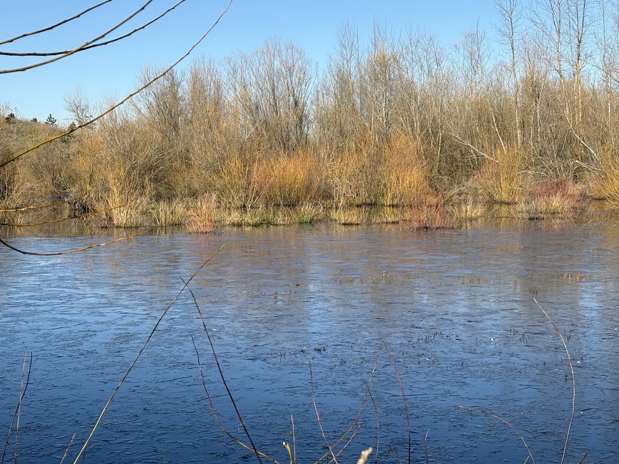 Read a letter to the Editor in the Oregonian by the Trust regarding Data Centers and their impact on land and water. 