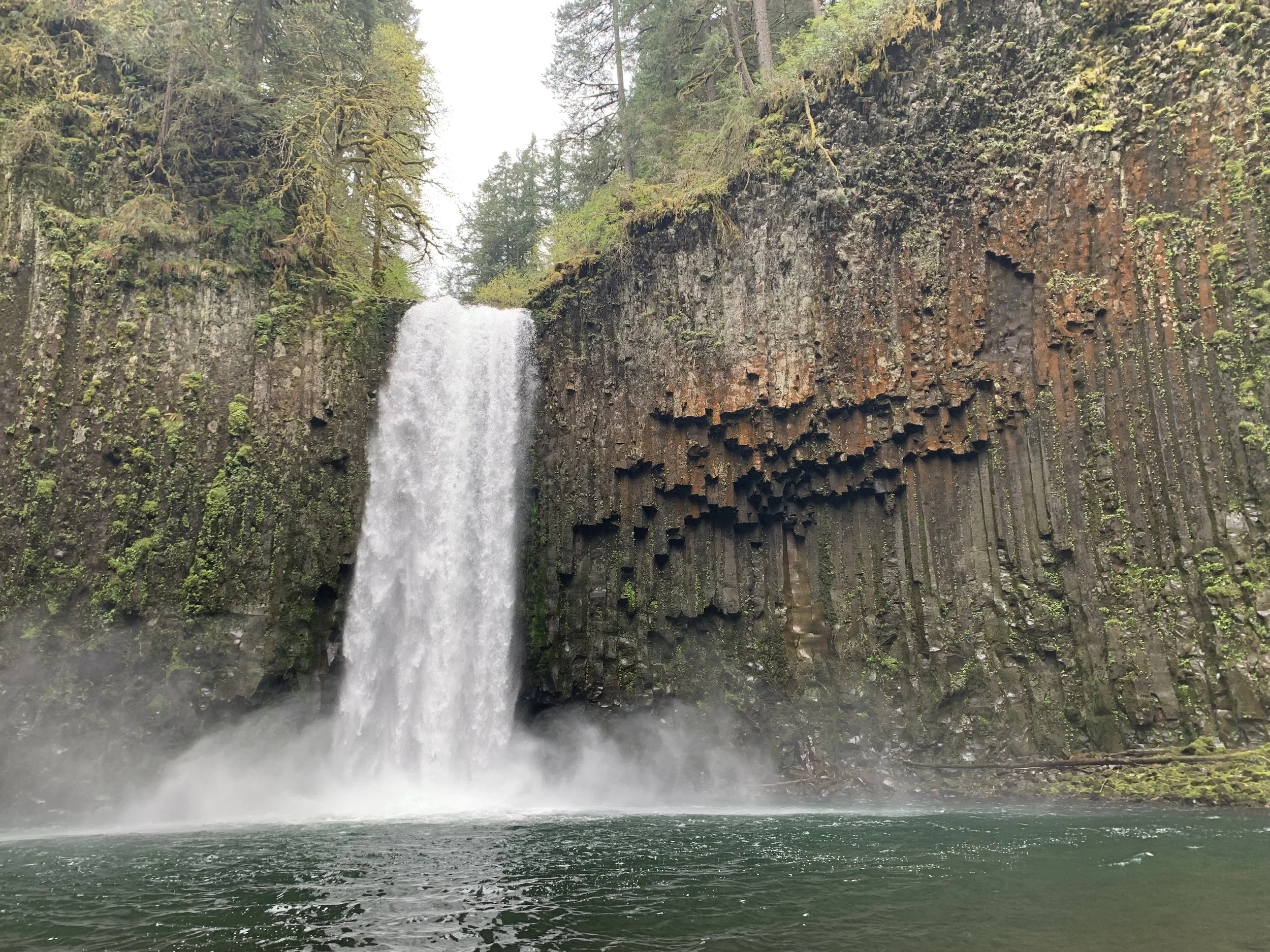 KATU Story on Abiqua Falls - Feb 6th 2026