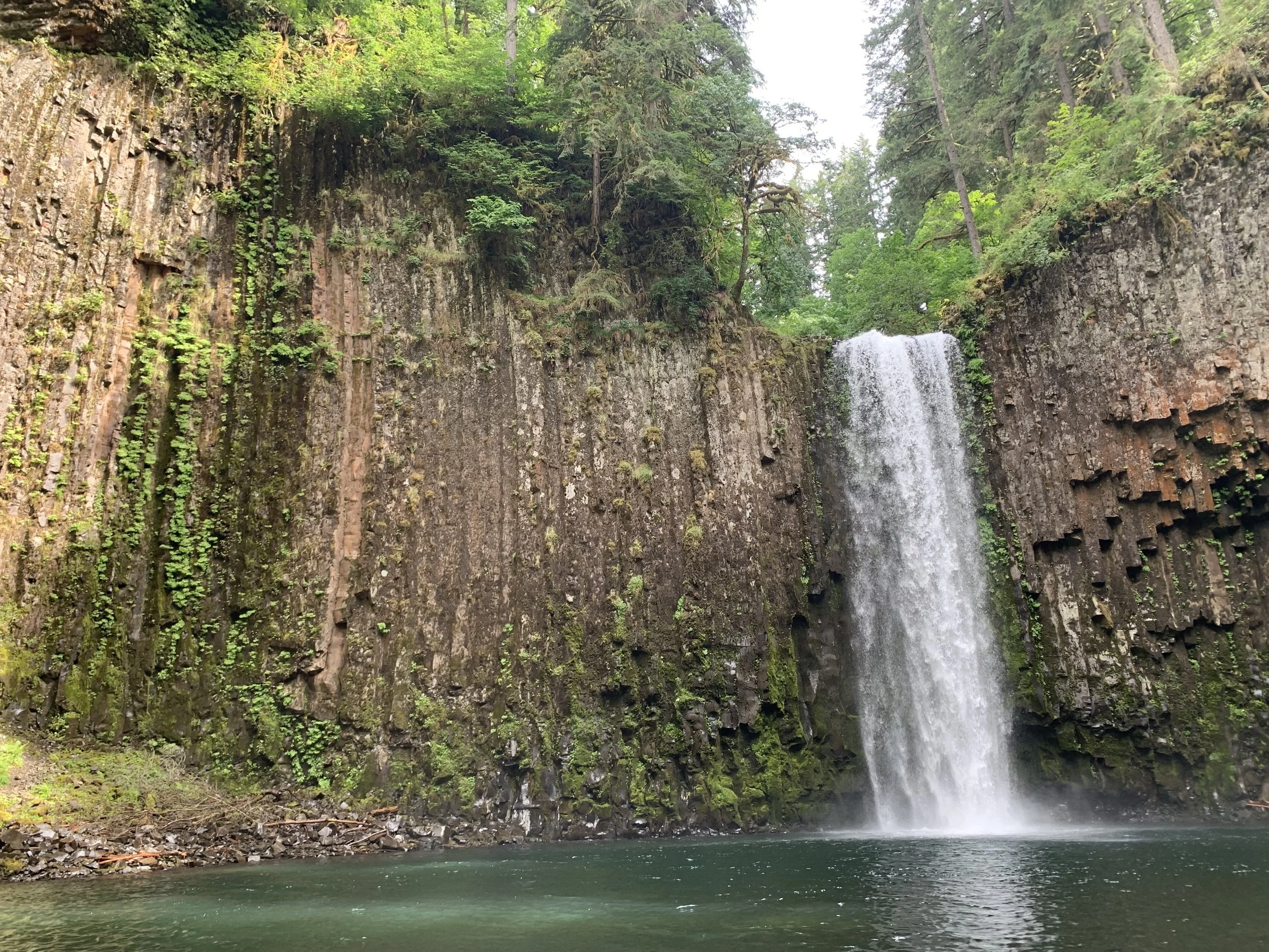 A recent Associated Press article on March 12th regarding the potential sale of Abiqua Falls.