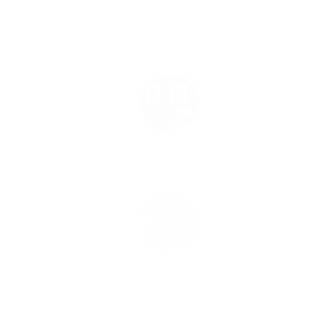 CrossFit Tampa Bay