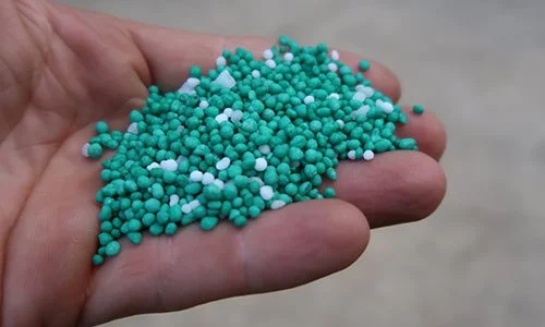 Hand holding small blue and white candy sprinkles or beads