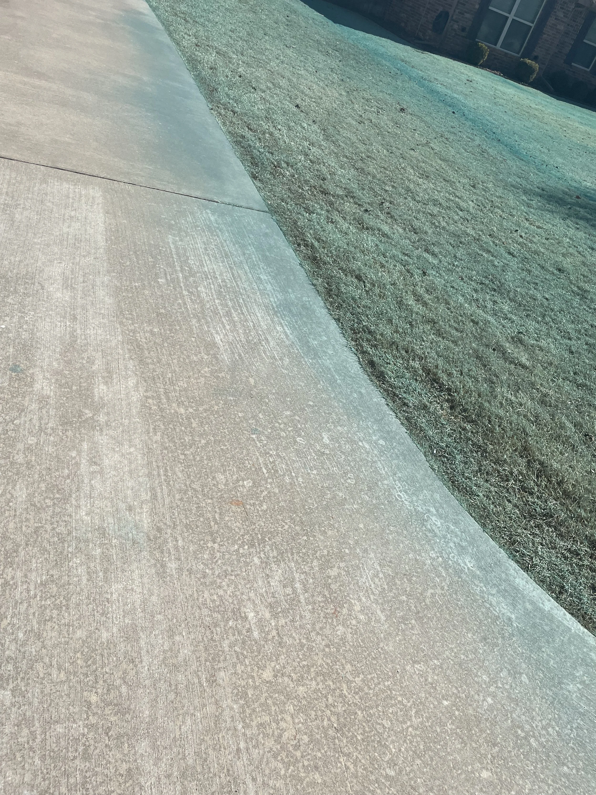 Blue and Green Dye in Weed Control: What Homeowners Should Know