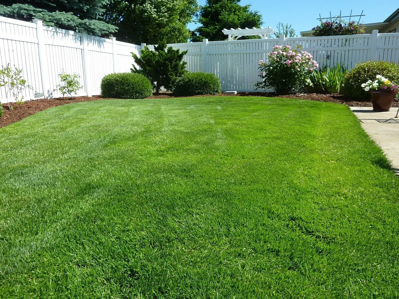 Well-maintained green lawn in a backyard, bordered by a white fence, with shrubs, flowering plants, and a small patio area.