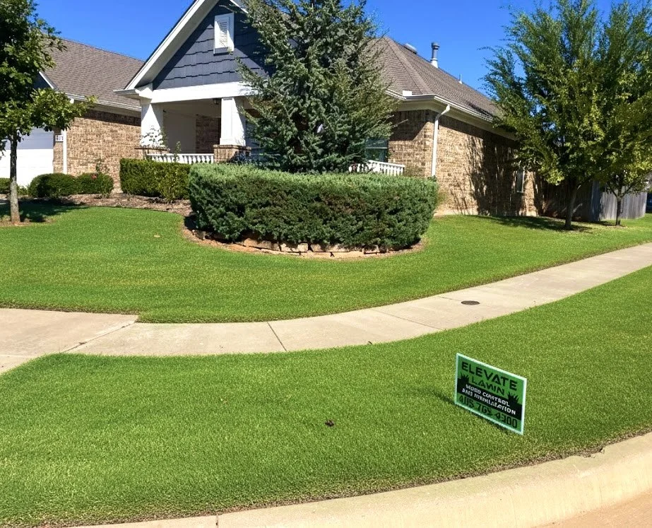 A well-maintained front yard with lush green grass, trimmed bushes, and trees, in front of a brick house with a gabled roof, and a sidewalk curving around the lawn. There's a green sign in the grass that says Elevate Lawn,