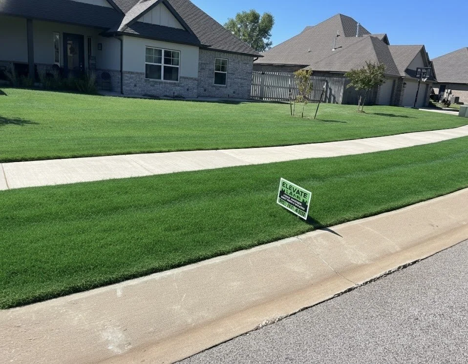 A suburban front yard with a well-maintained green lawn, concrete sidewalk, and sidewalk sign that reads 'ELEVATE' and 'LAWN'.