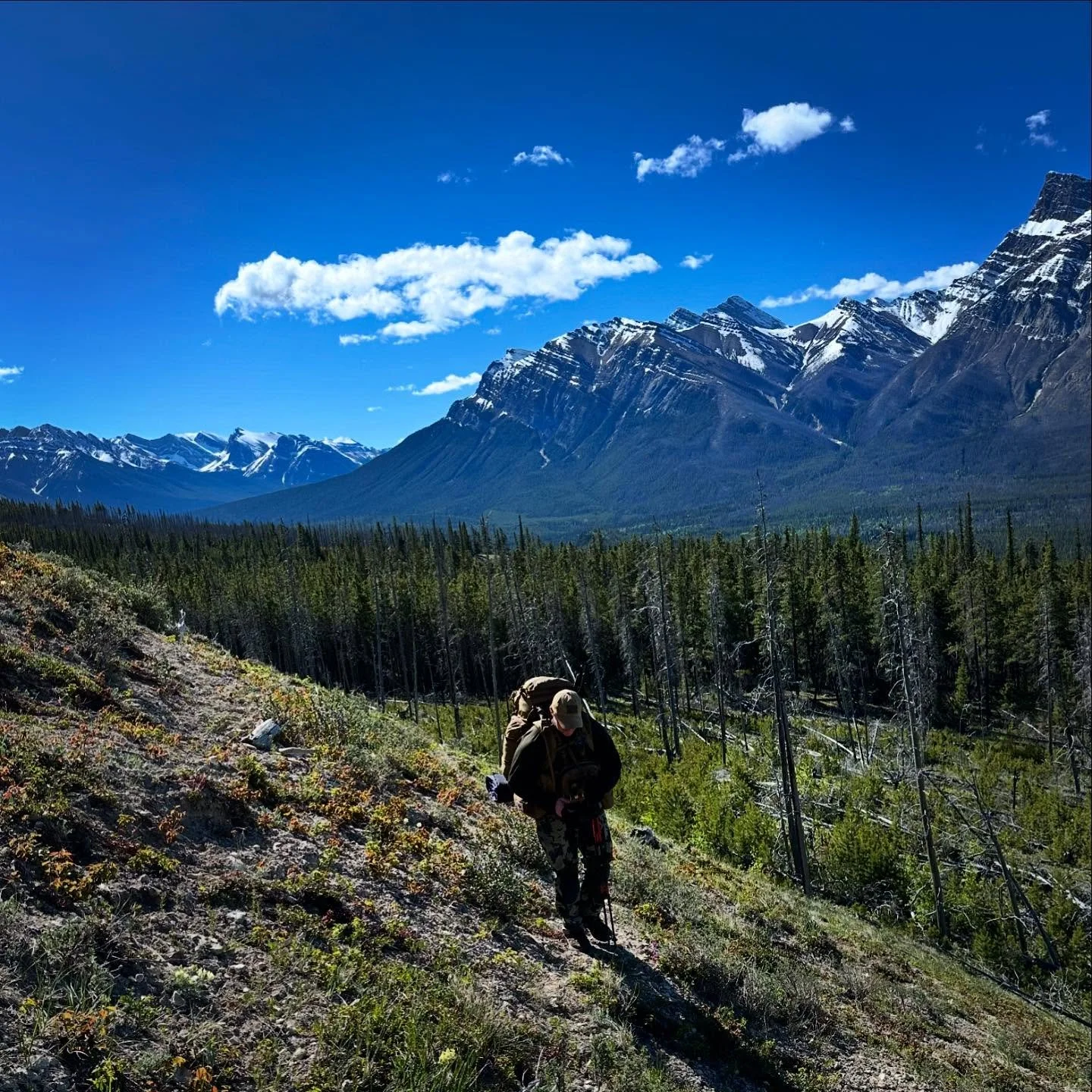 Remote Observation 

Our management is composed of leaders who have navigated some of the world&rsquo;s harshest environments. Bringing this knowledge and skillset to remote wildlife surveillance enables our team to confidently and safely traverse fo