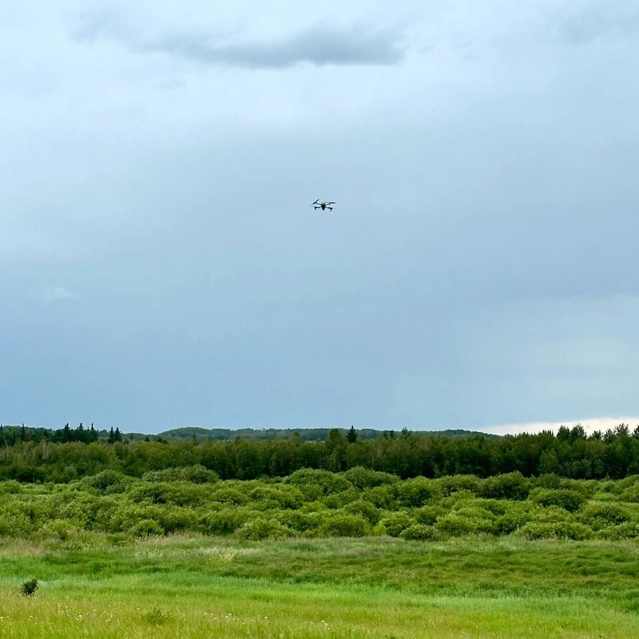 Utilizing technology in the field can dramatically improve efficiency in surveillance applications. Drones can provide a wealth of information to the users. Reducing time to survey, increasing data procurement and reducing cost to a client if aerial 