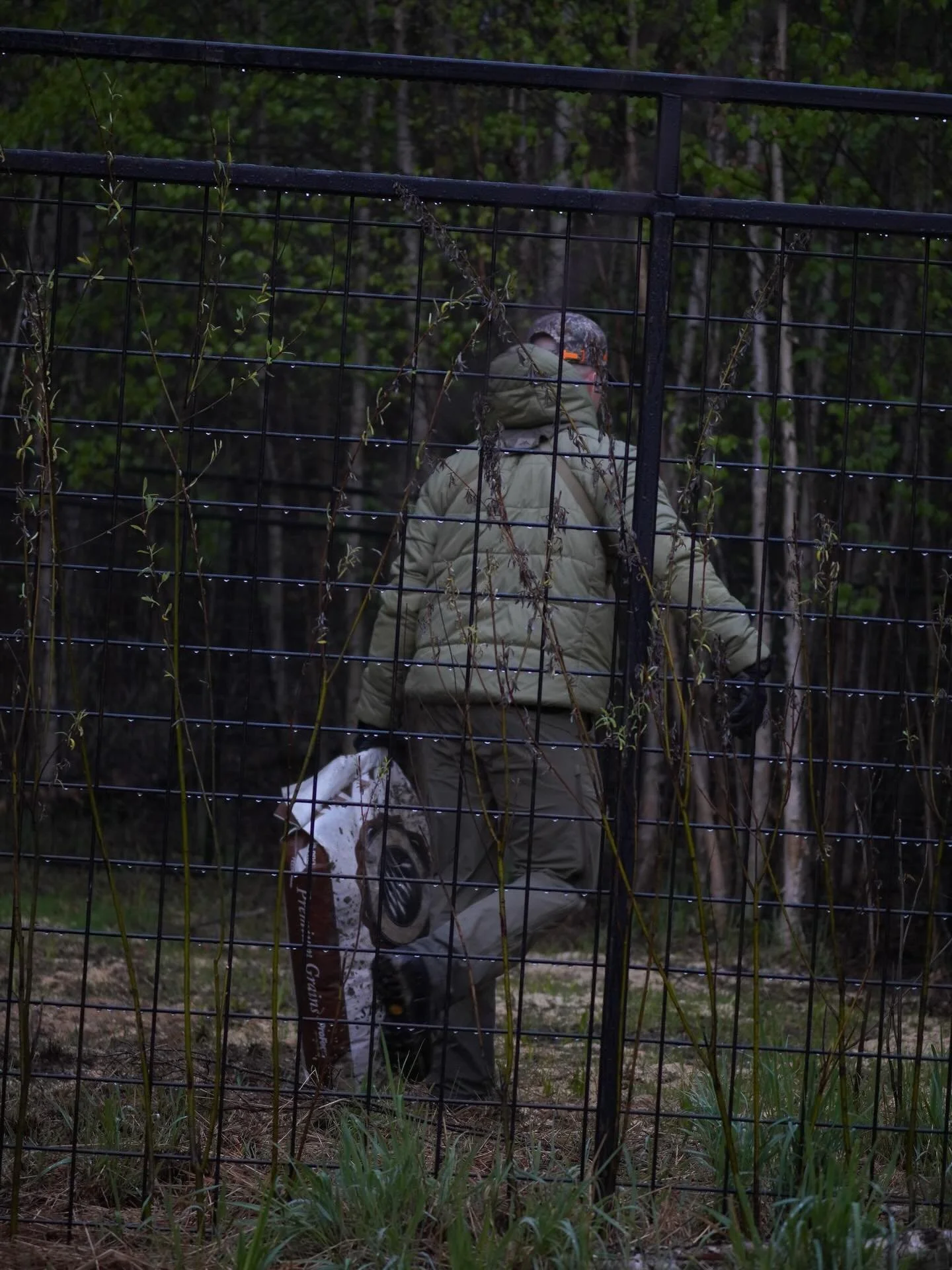 As we see an increase of agricultural activity and a surge of hunters on the landscape, we broaden our surveillance output to stay on top of the Wild Boar presence in Alberta. 

Maintaining observation on the hog&rsquo;s changing pattern is challengi