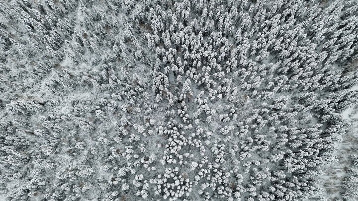 It&rsquo;s amazing how modern technology aids our projects. Having thermal imagery not only at our fingertips, but in the air is a massive game changer. 

Finding specific specimens at large has become a much easier task. Combining this tech with GPS