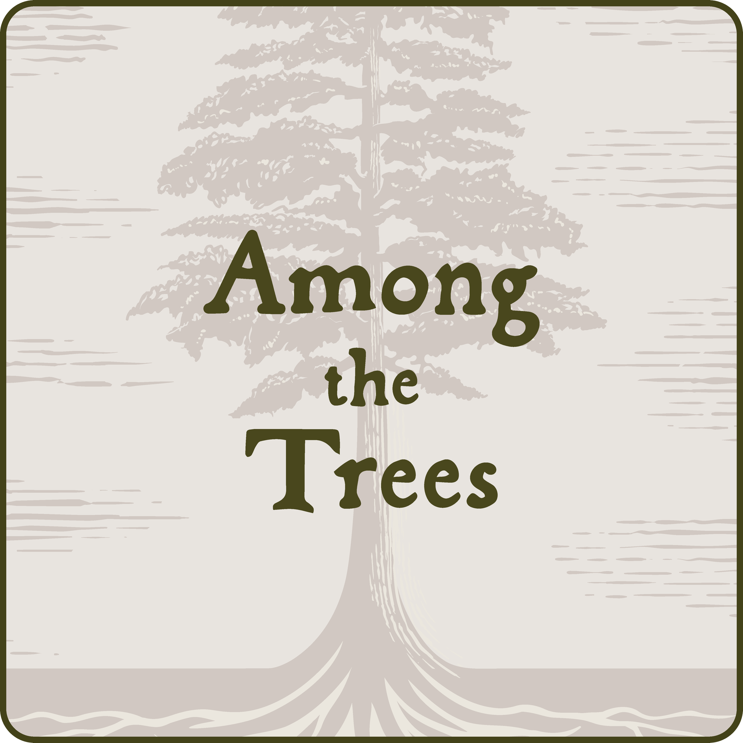 Among The Trees Tallow Balm