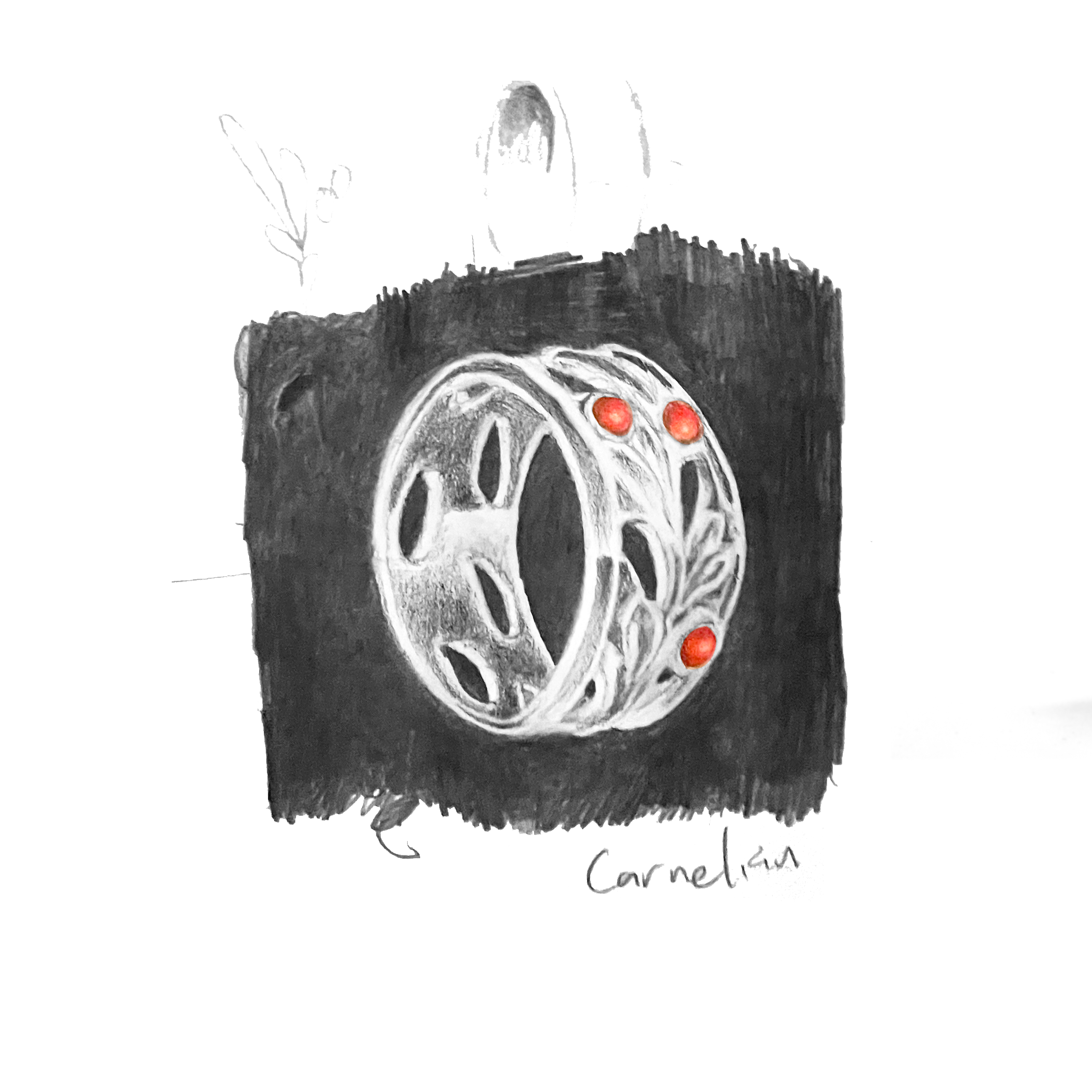yerba mate concept illustration.png