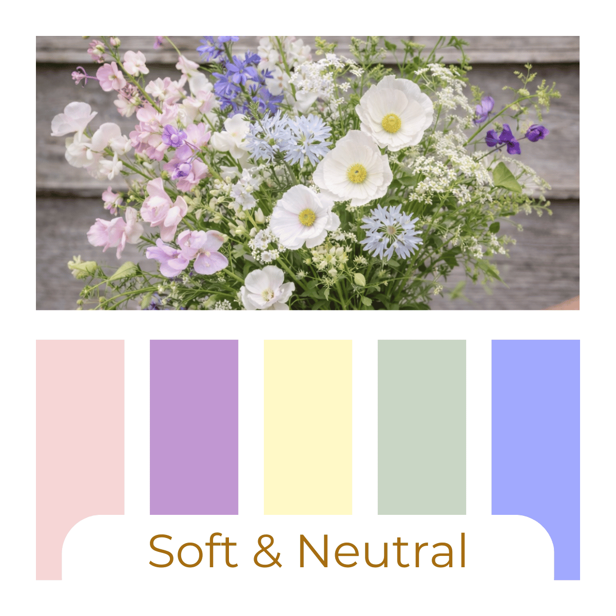 Soft & Neutral.png