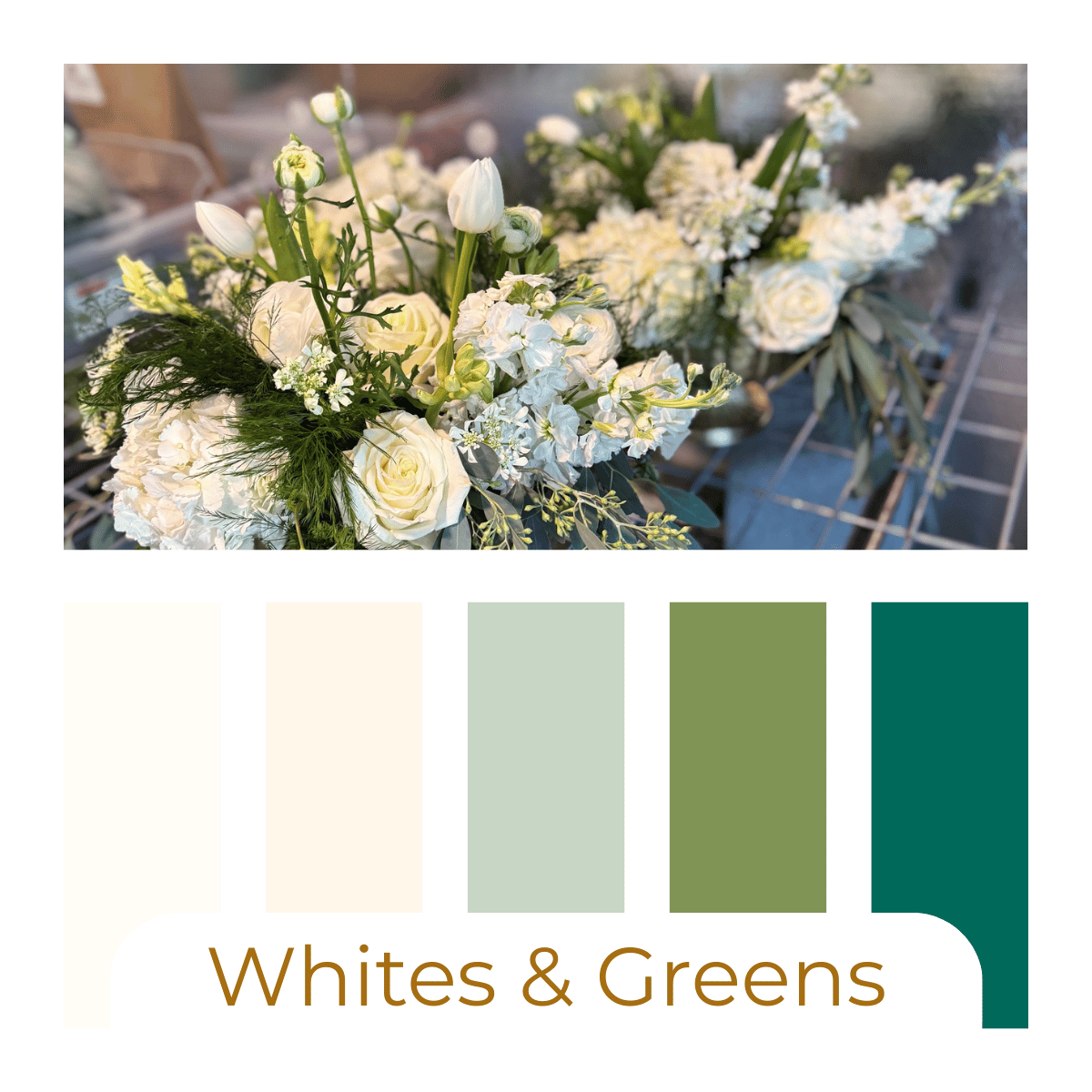 Whites & Greens.png