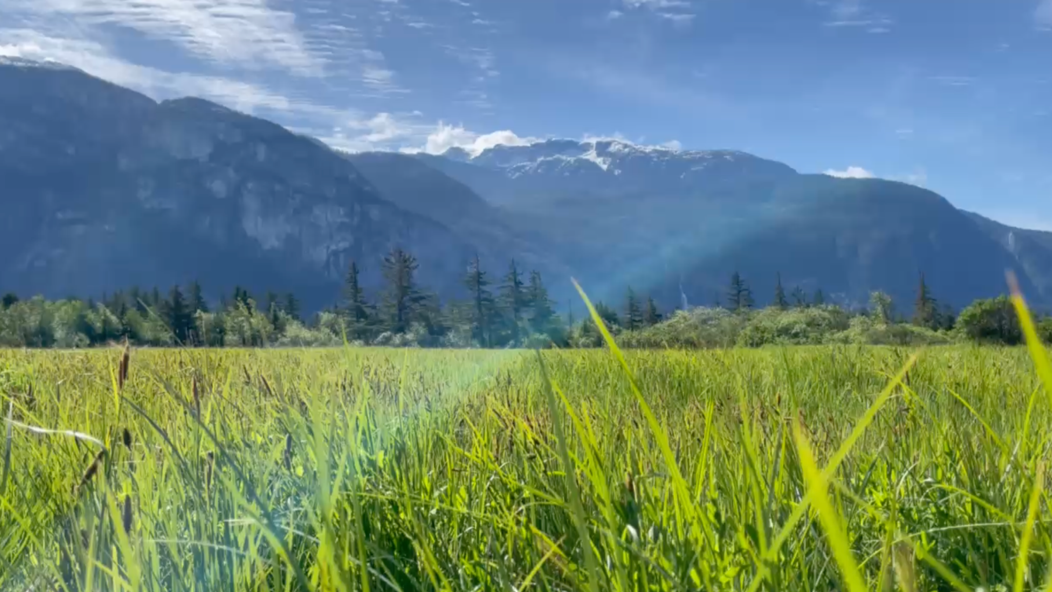 Screenshot 2026-03-25 at 6.15.28 PM.png