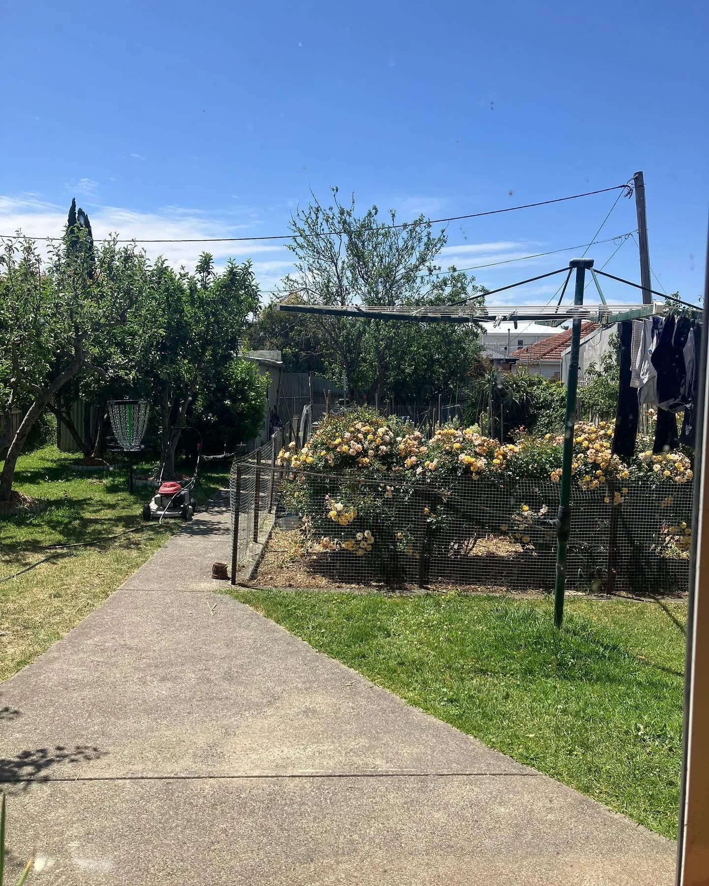 A few recent life moments in this crazy world 🐛

&bull; Glimmer
&bull; What is it about skies and trees 😭🤌
&bull; End of an era 😢 RIP to the Crystal Pistol 
&bull; Now only receiving manicures from children 💅
&bull; Once a good boy, always a goo