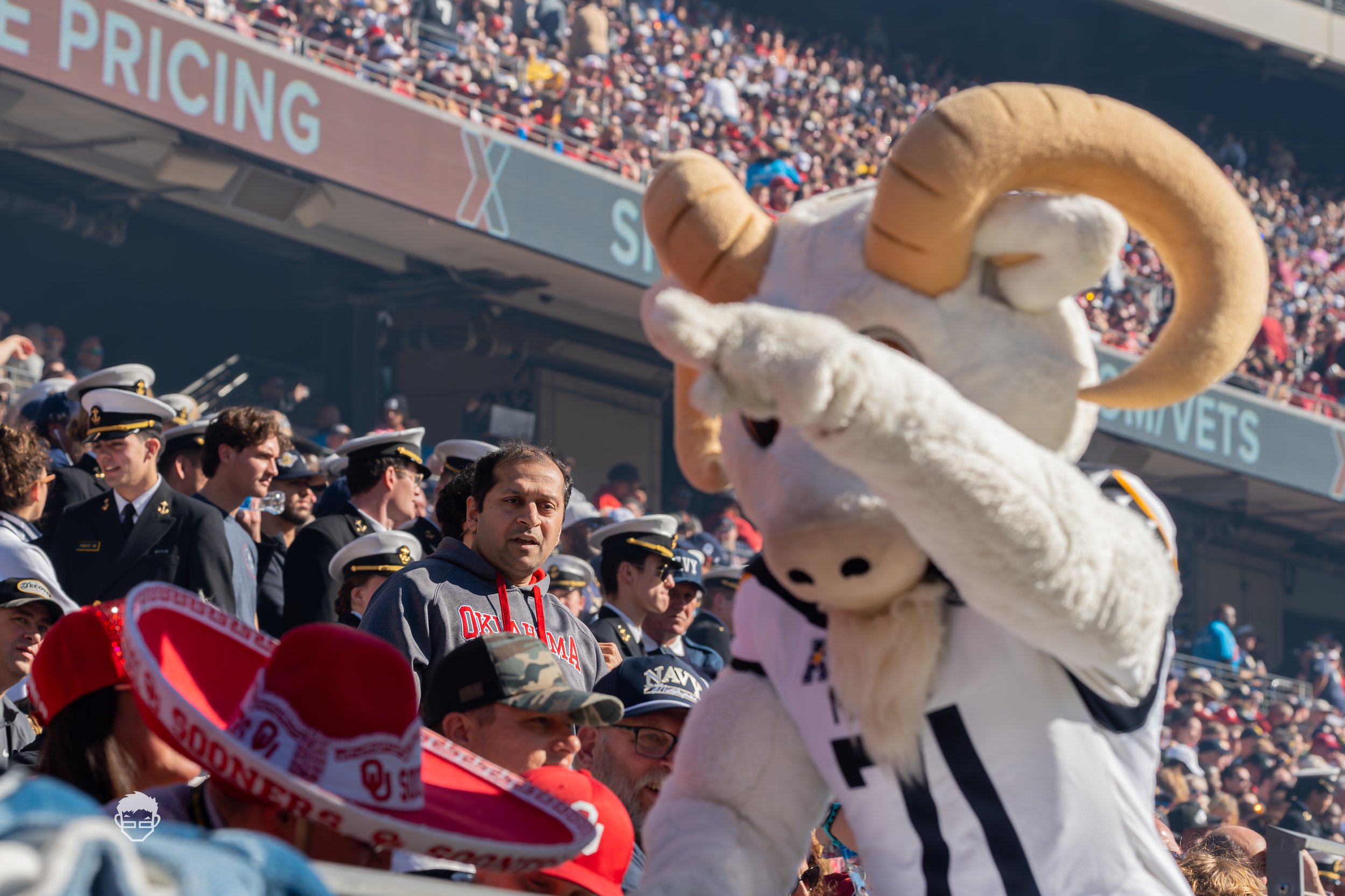 A7404462-Enhanced-NR.jpg
