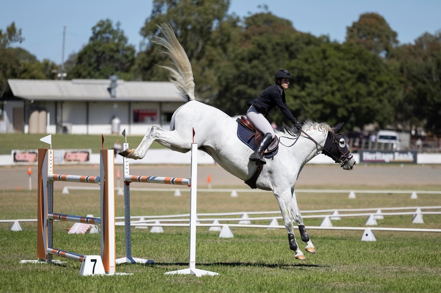 bend &amp; snap! 💥
Christabella D in the 140cm @ Toowoomba Royal