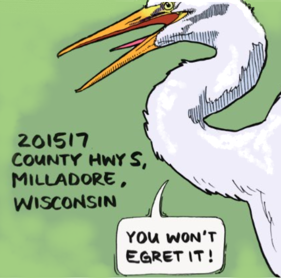 Mead Bird Walk